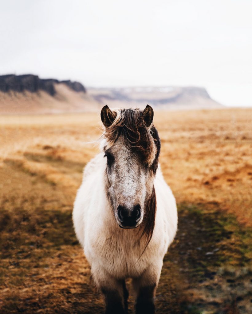 A 6 days itinerary to South Iceland in winter Travel Blog