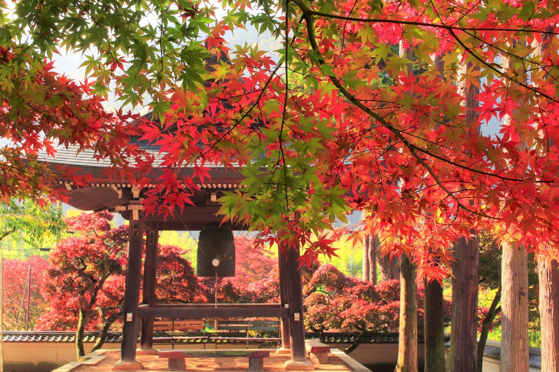 Four Seasons in Japan：Autumn & Winter