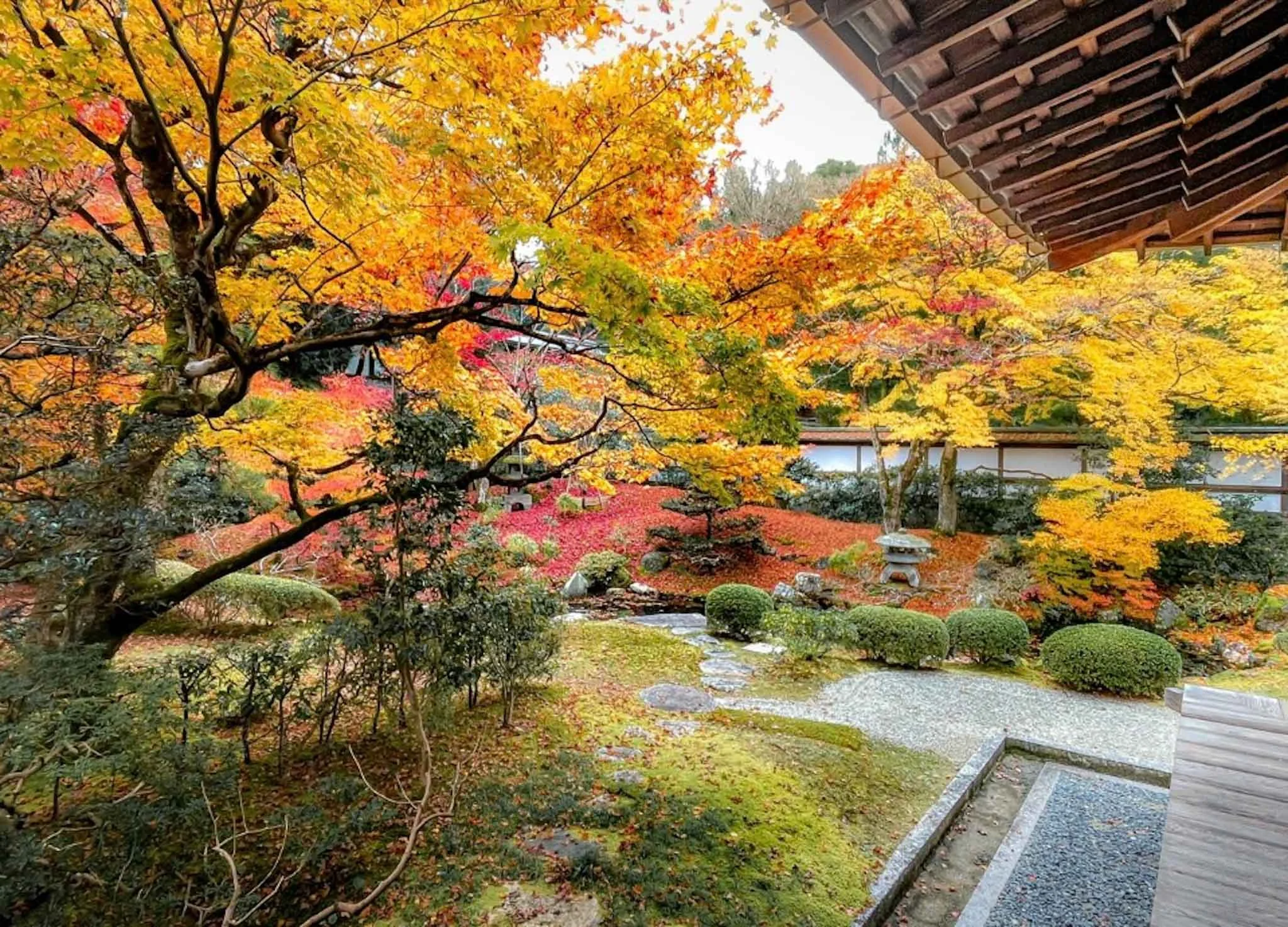 Fall Colors In Japan Autumn Foliage Is Special Here. Japan Travel Pros