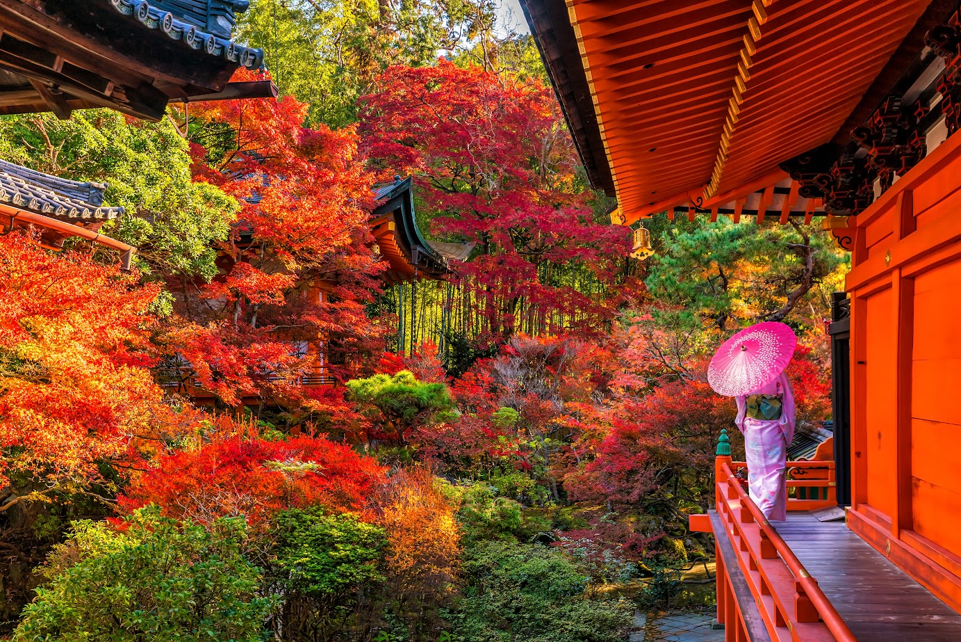 Admire the Spectacular Autumn Foliage in Japan at 10 Breathtaking Locations
