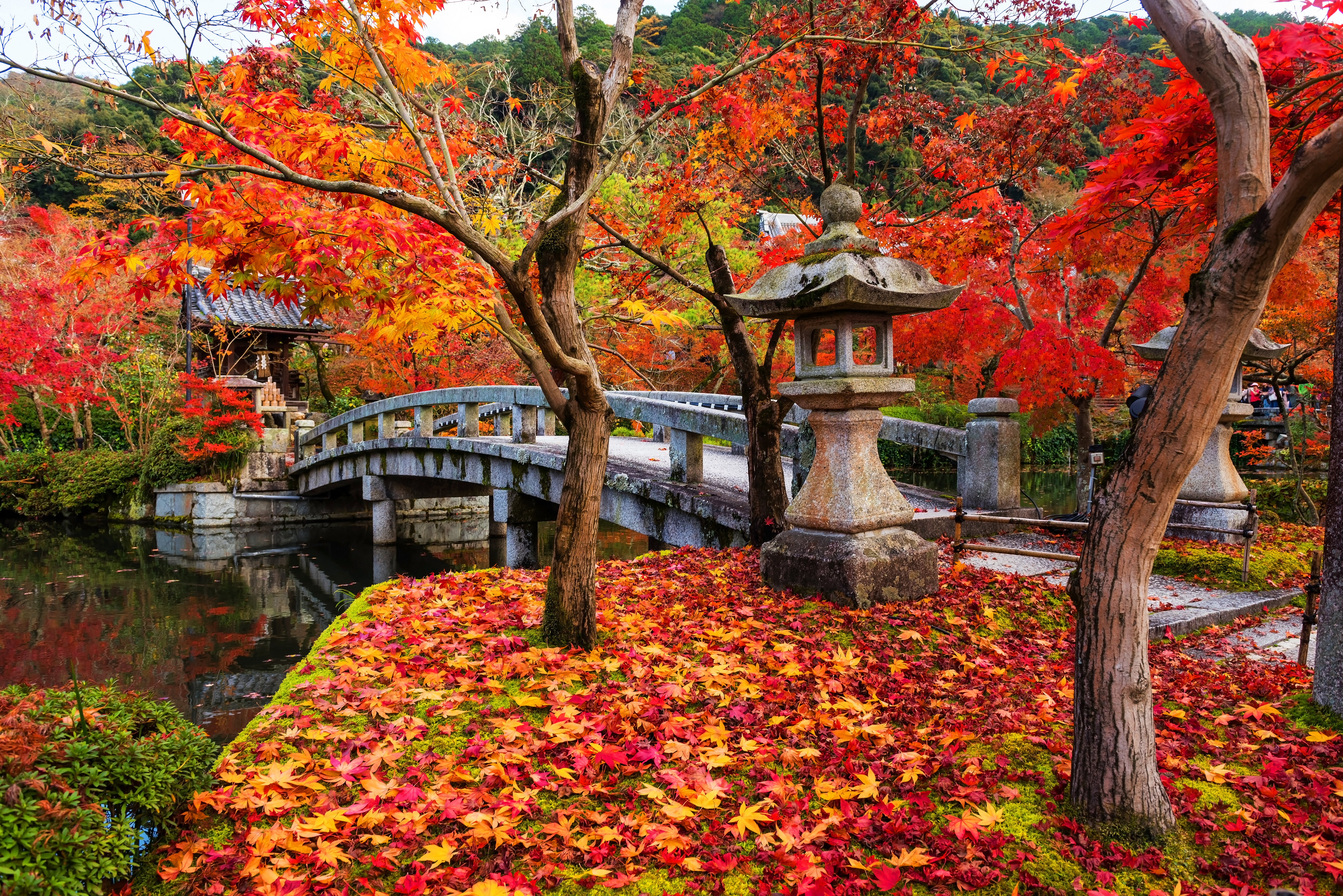 Most Gorgeous Places to Visit on Fall Getaways