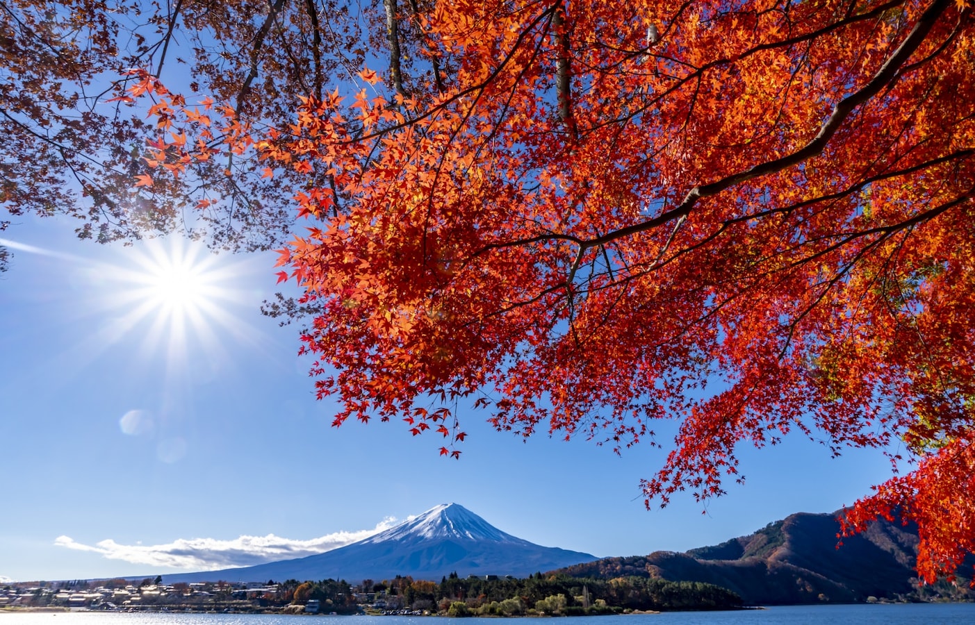 Fall Foliage Forecast. All About Japan