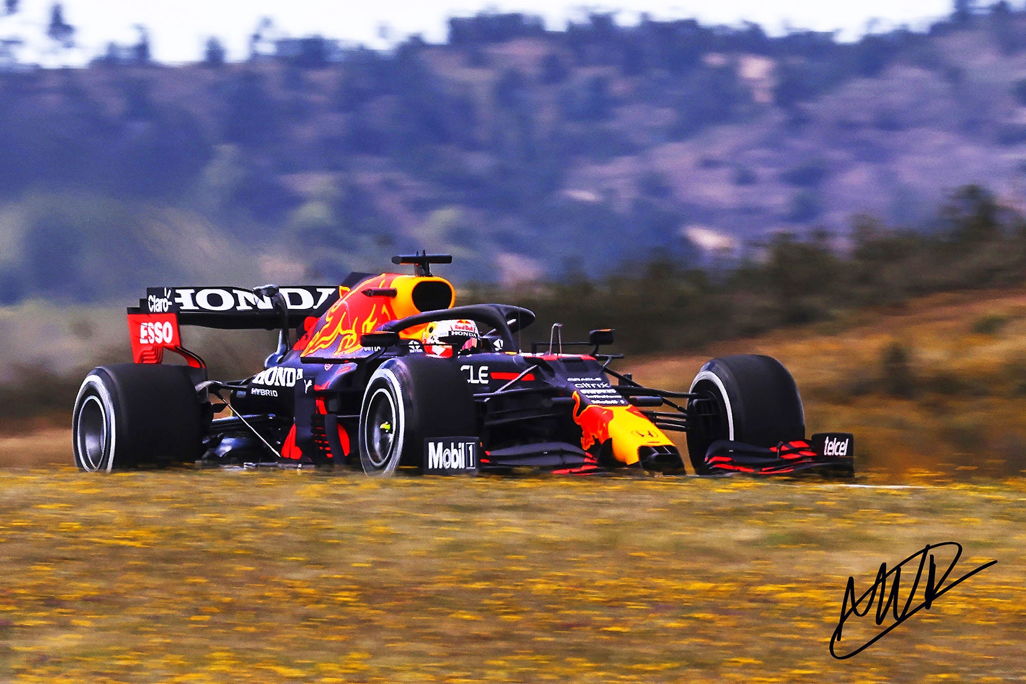Red Bull Racing F1 With Pre Printed Max Verstappen Autograph Canvas Print Photo Art. Gallery Wrap Style Ready To Hang