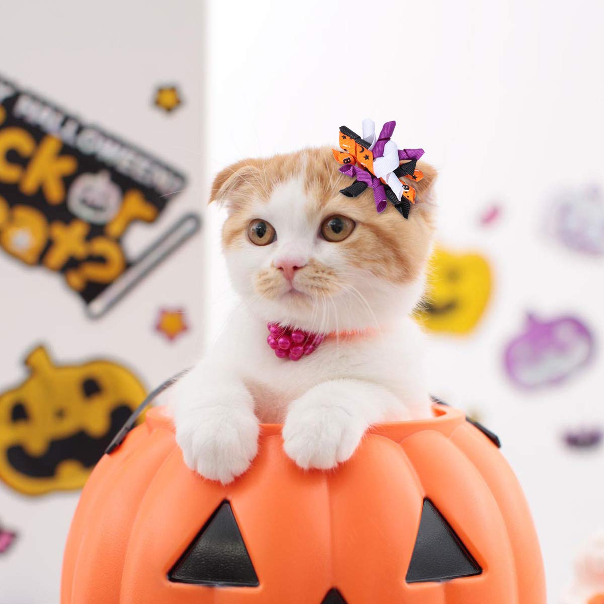 Amazon.com, Hemobllo 10pcs Halloween Pet Hair Accessories Rubber Bands and Grooming Bows for Dogs and Cats for Holidays and Parties, Pet Supplies