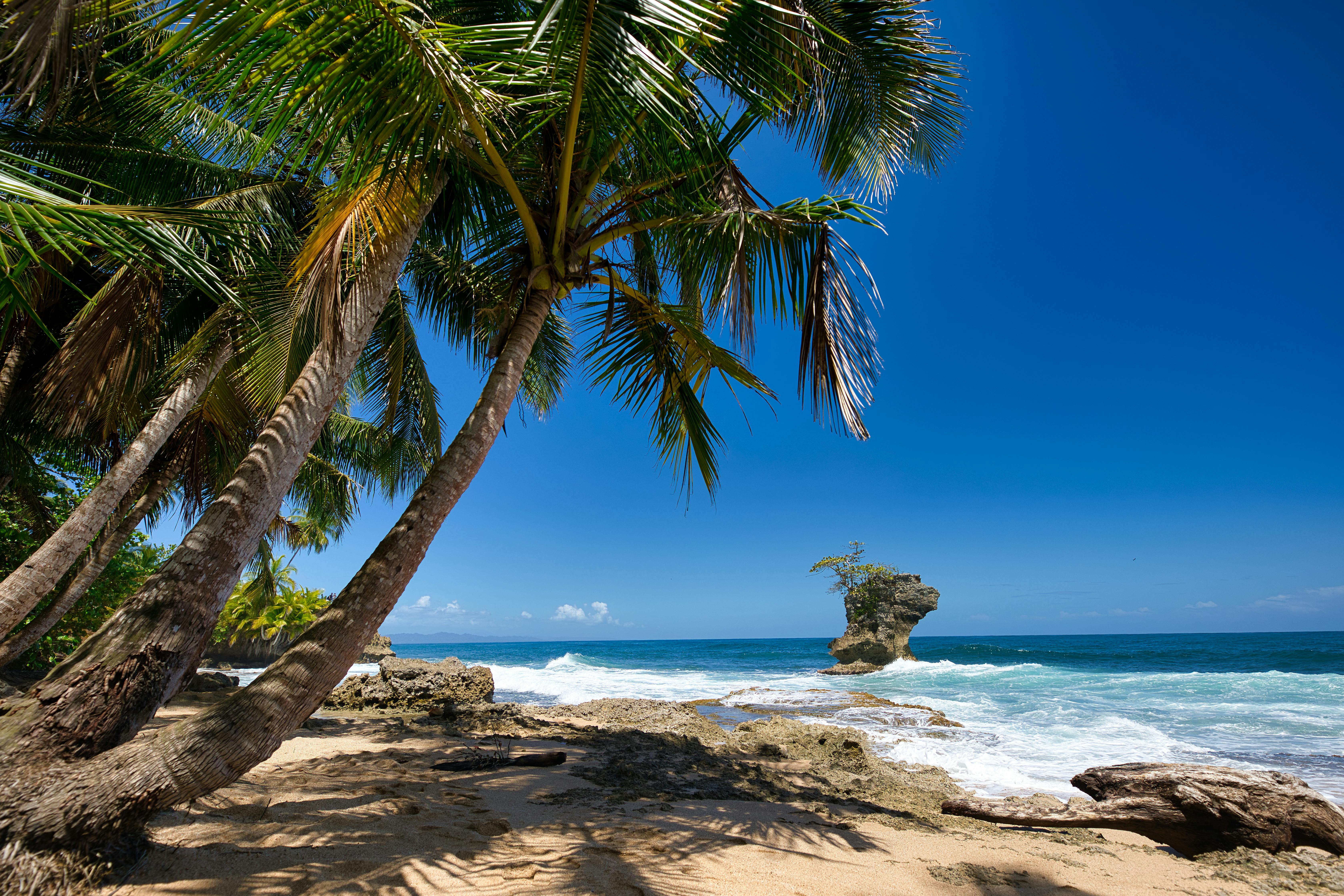 Costa Rica Beach Photo, Download The BEST Free Costa Rica Beach & HD Image