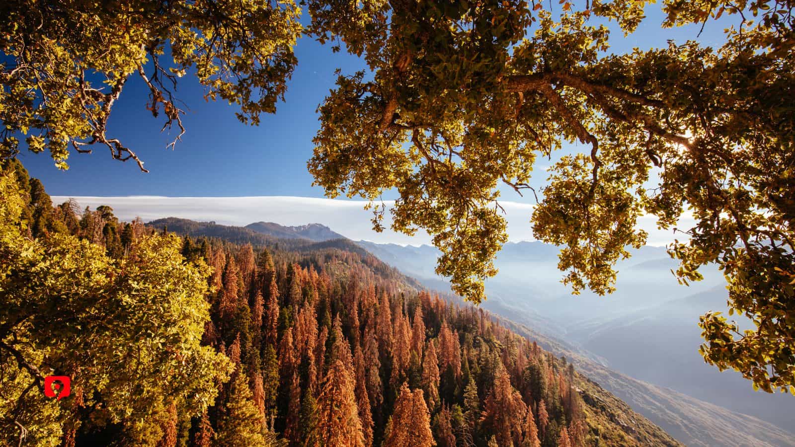 Sequoia and Kings Canyon Trip Planner. GuideAlong Audio Tours