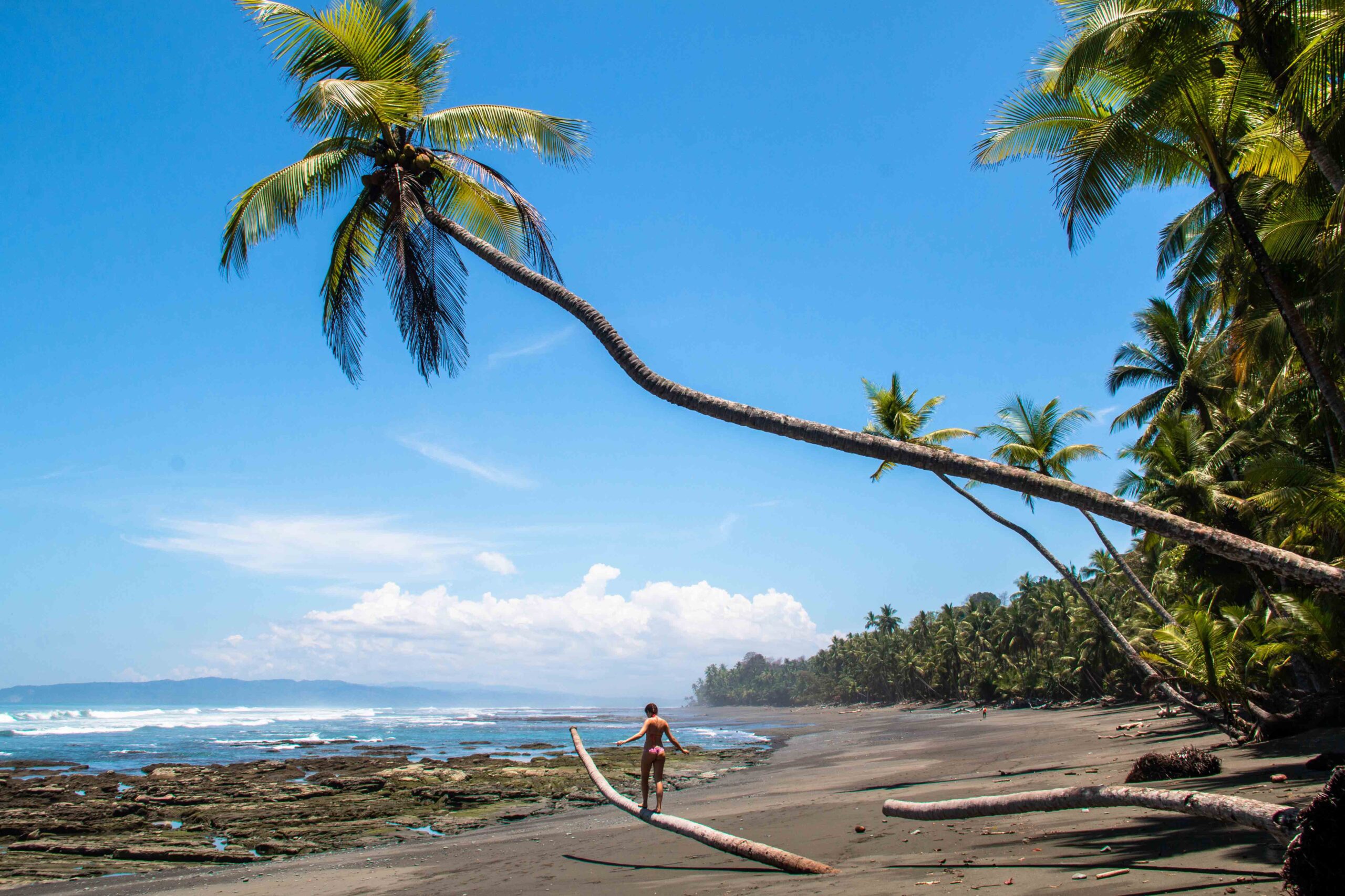 Beach_palmtrees_costa_rica_punta_banco 1 Surf Club