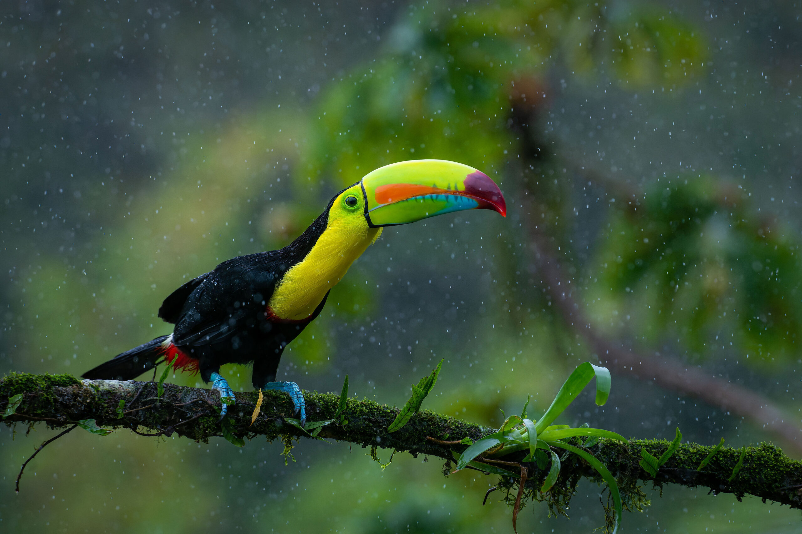 COSTA RICA: Oyster's 5 day taster budget tour