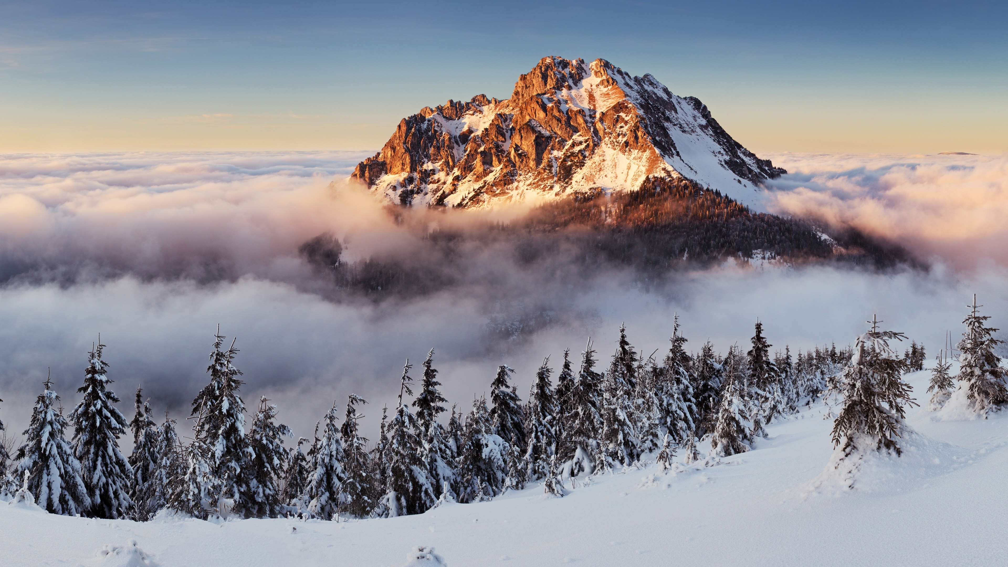 Slovakia snow mountains fog pines 4K HD Desktop