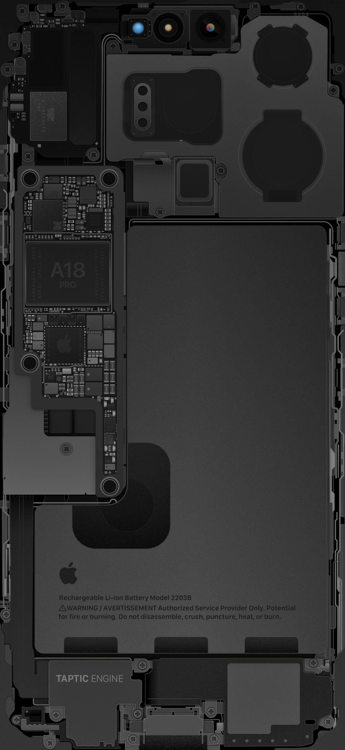 iPhone 16 Pro & Pro Max Internals Wallpaper