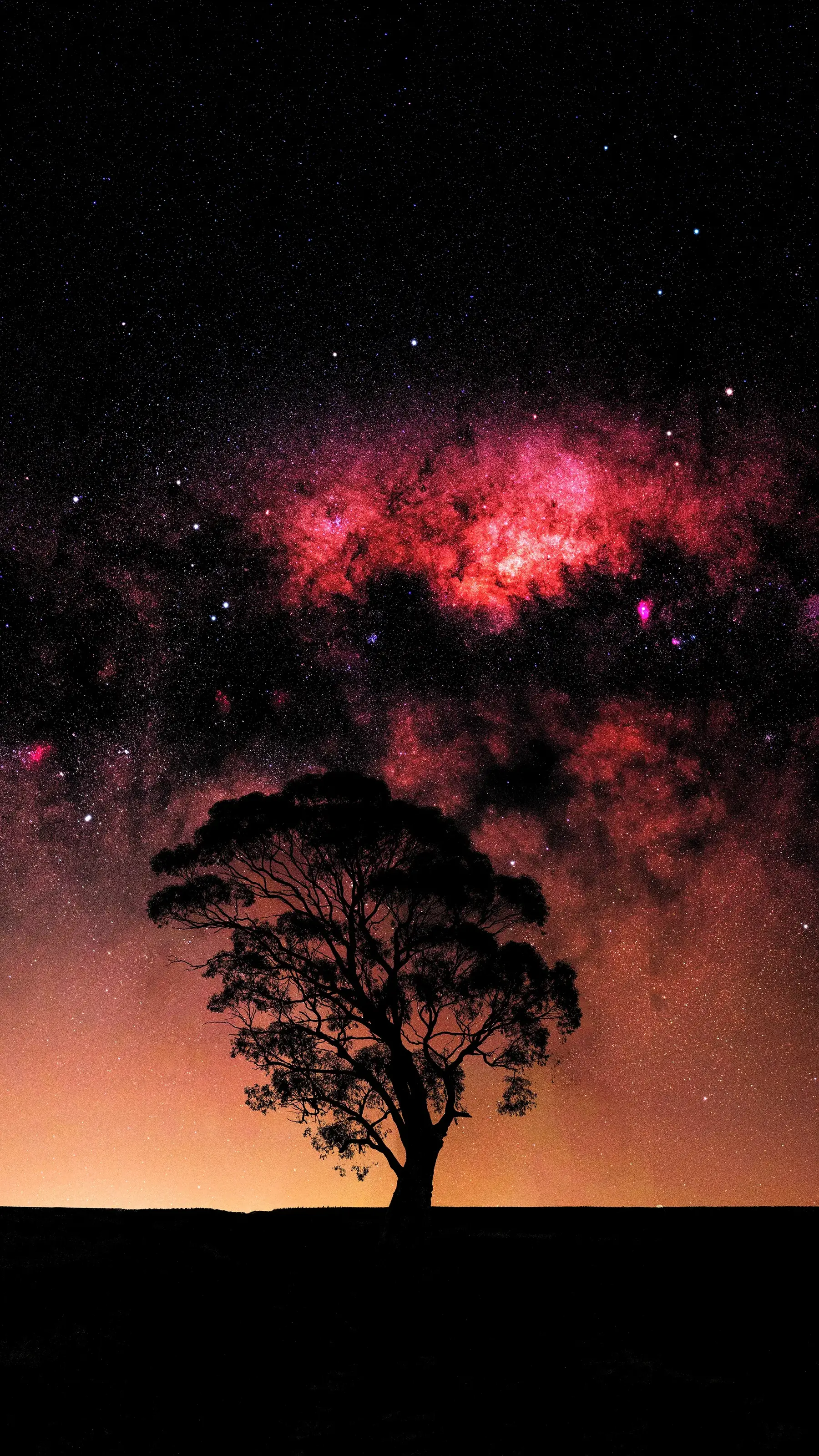 Dark Wallpaper Space Galaxy Glowing Red With Singular Tree Ultrahd Ultra HD Wallpaper For Apple iPhone 13 14 15 16 Pro Max 16E