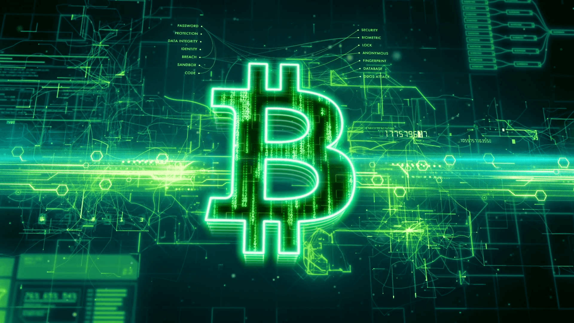 Download The Future of Money Bitcoin Wallpaper