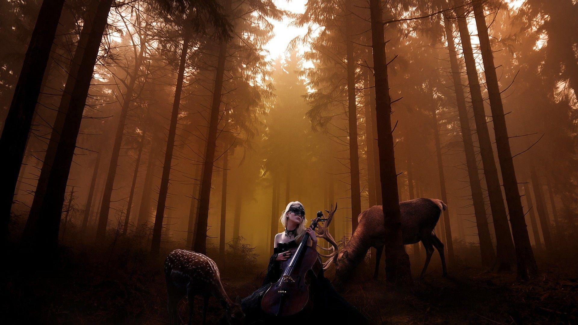 Cello Background, High Definition, High Quality