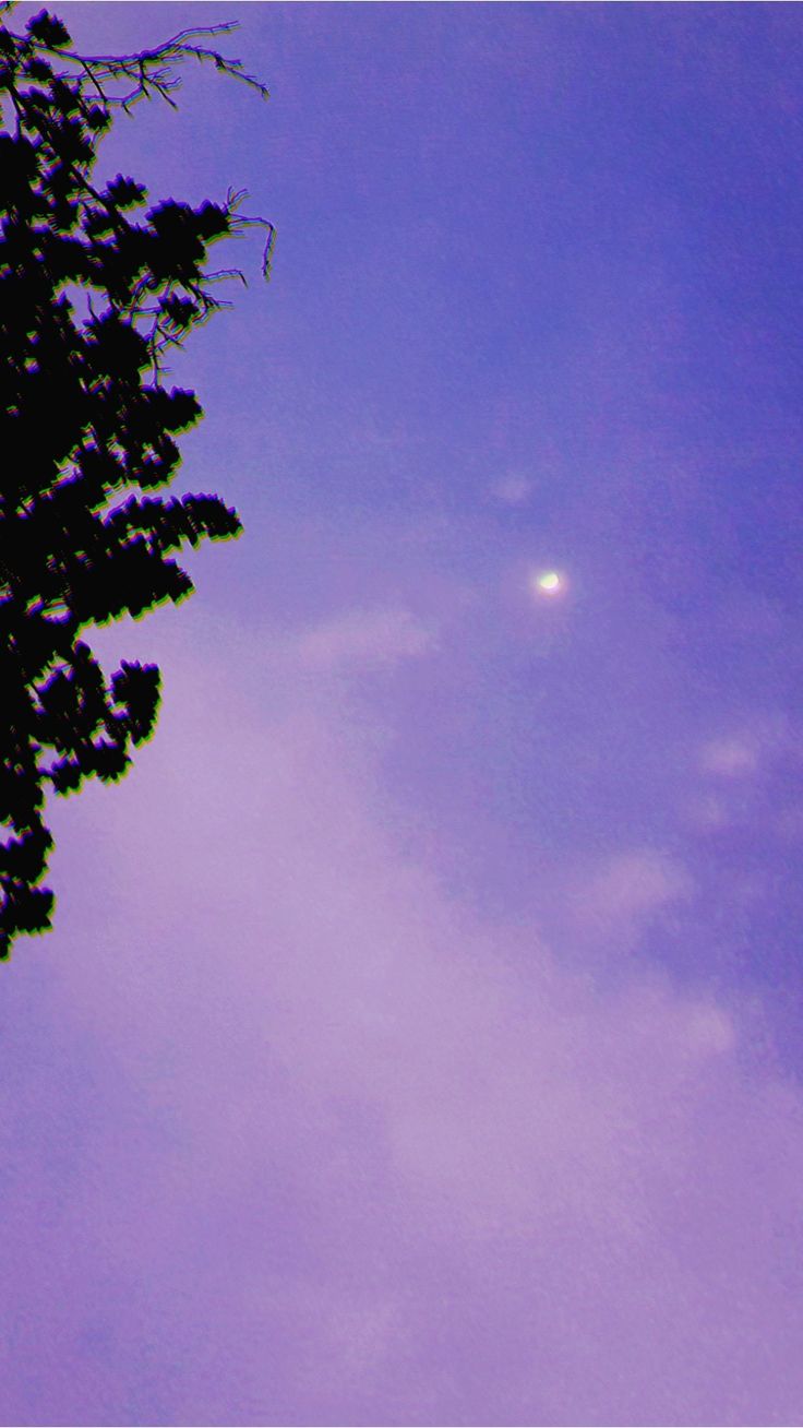 Purple Sky Mobile Wallpaper