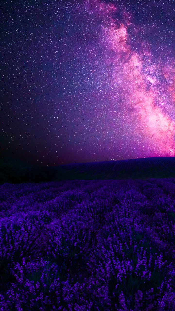 Download Milky Way Lavender Field Starry Sky Star Purple Fantasy Sky Phone Wallpaper