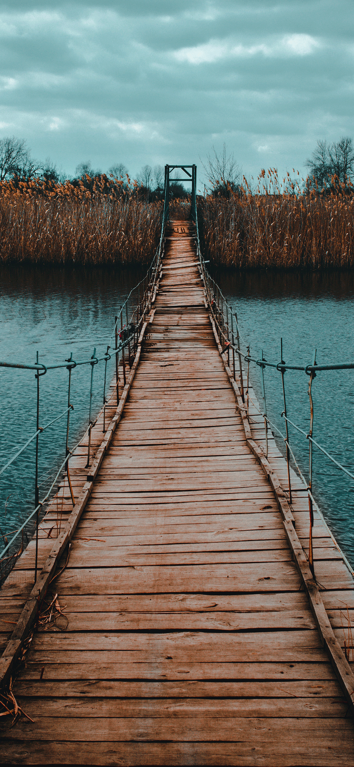 Bridge Wallpaper for iPhone 11, Pro Max, X, 8, 7, 6