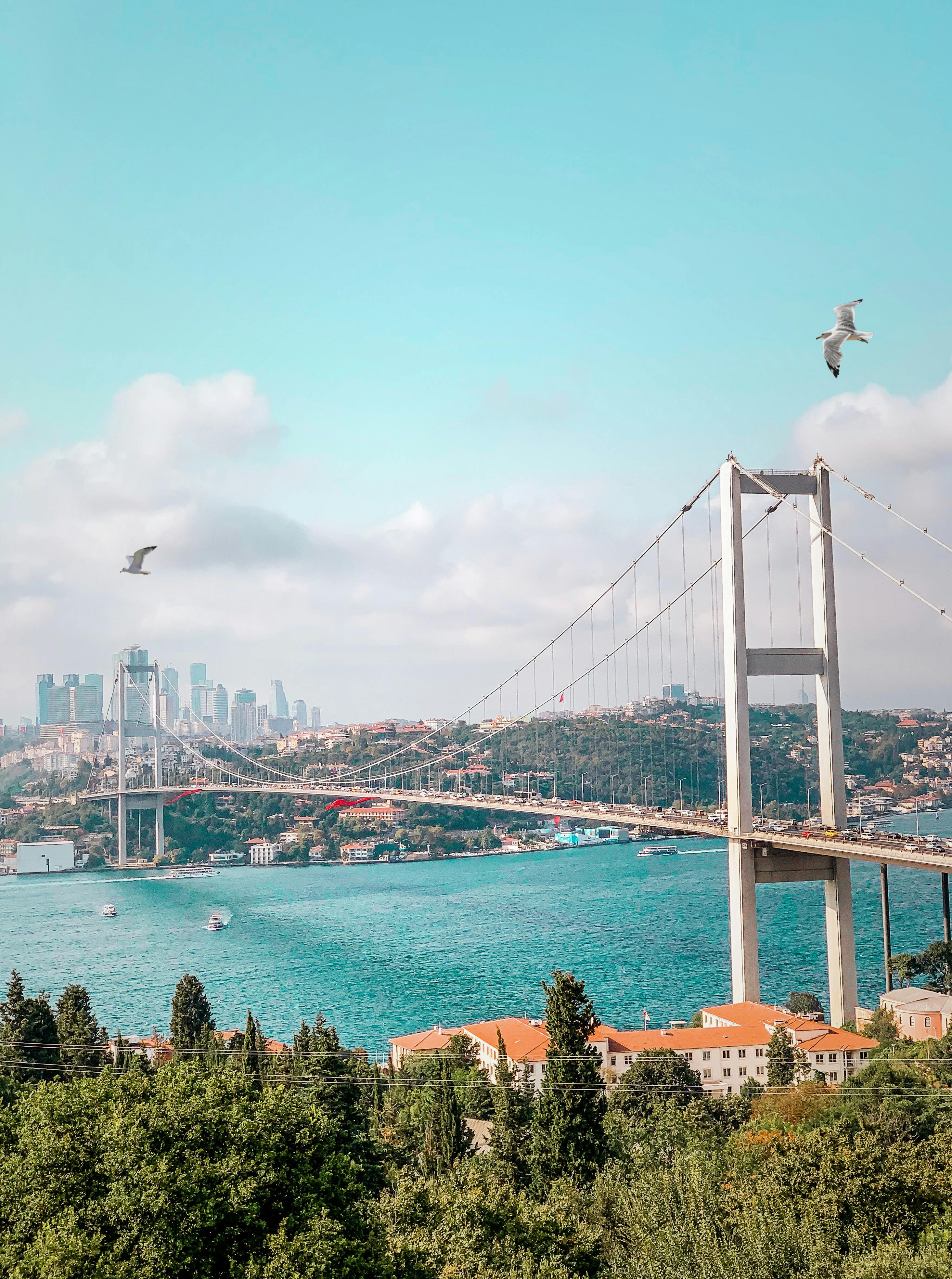 The Bosphorus Bridge from a Distance · Free