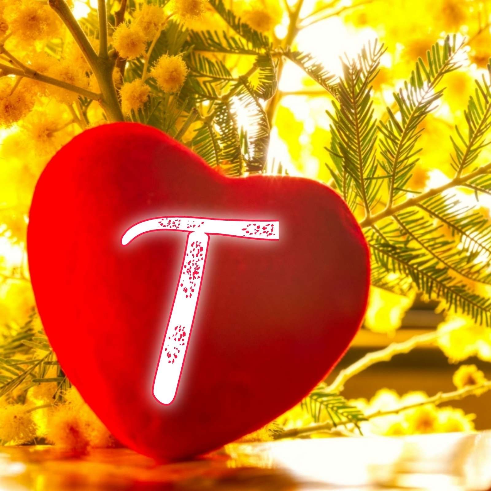 Letter T Wallpaper, HD Letter T Background on WallpaperBat