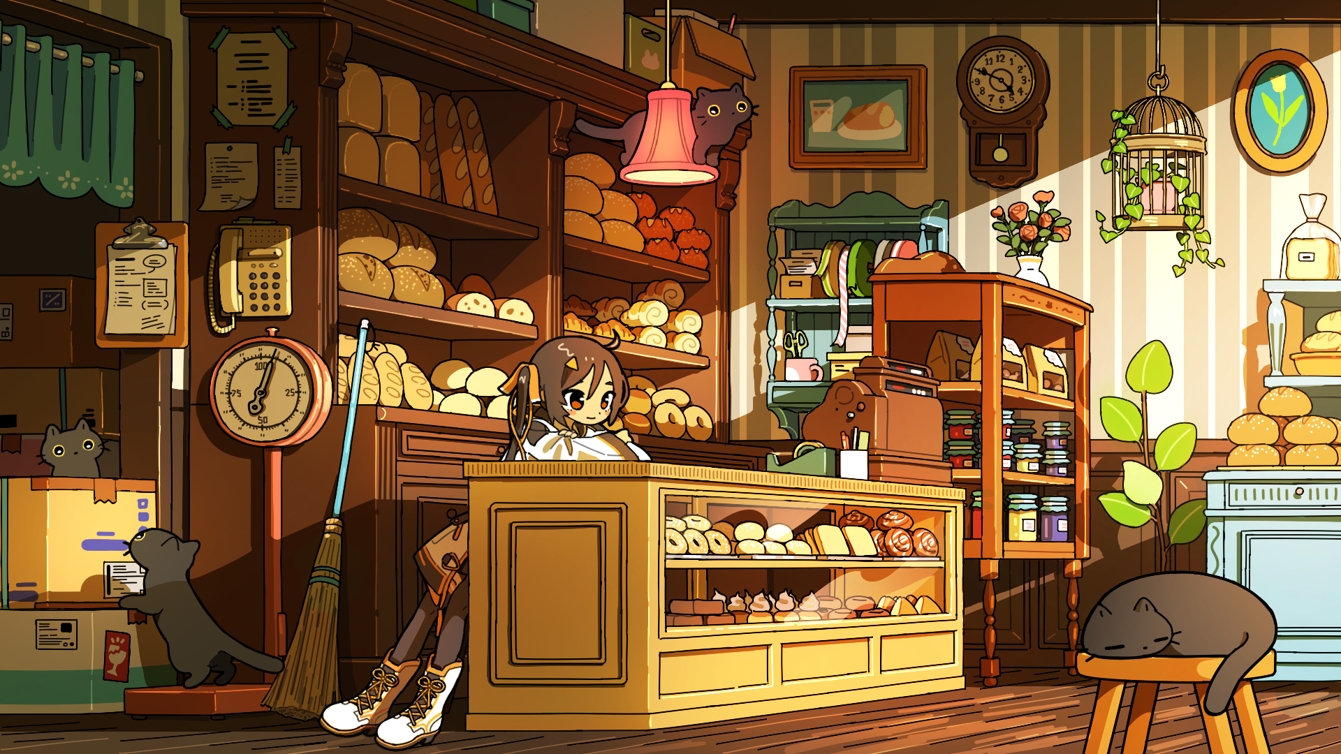 Download Cat Anime Girl Anime Girl Anime Cat HD Wallpaper