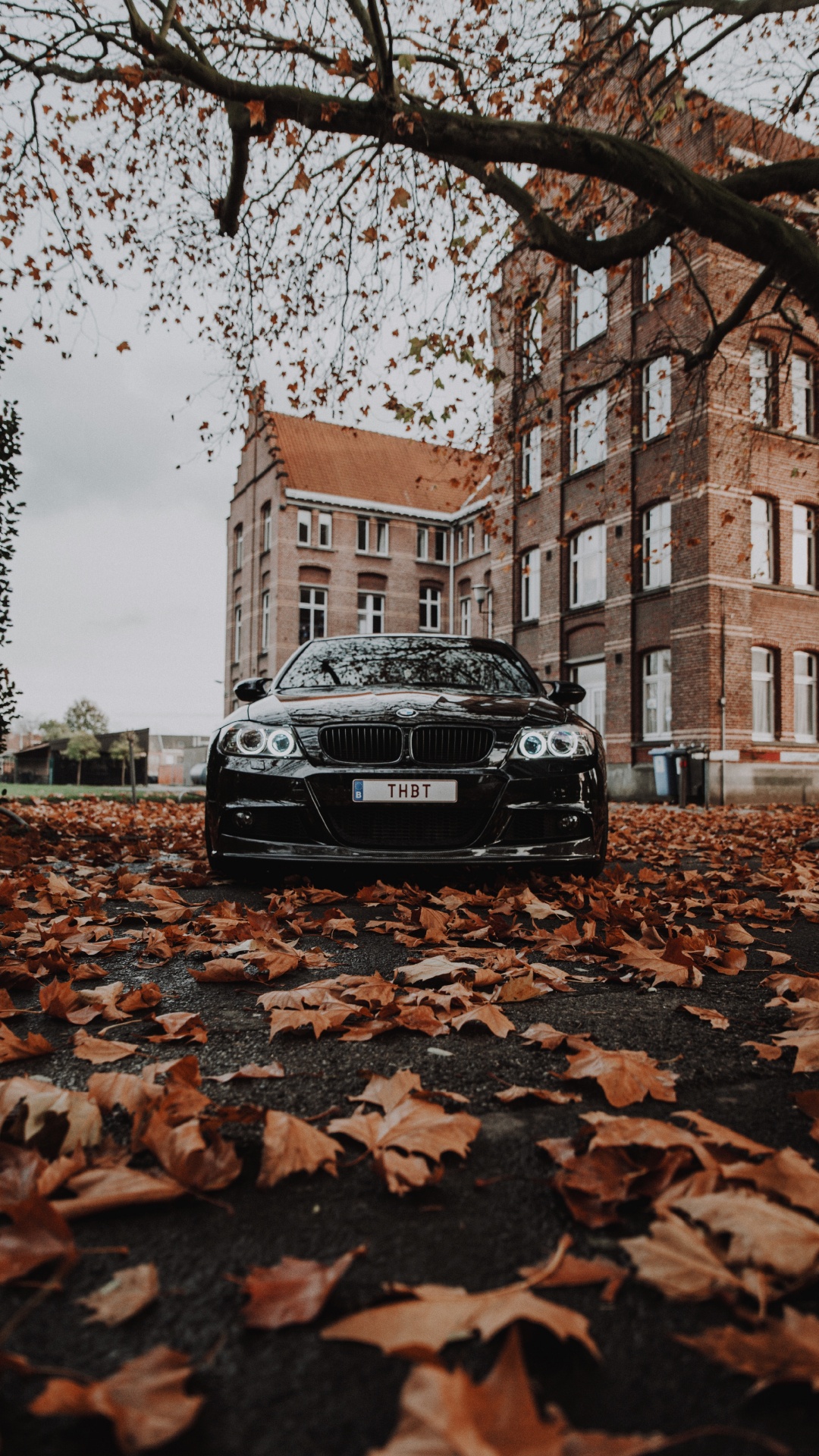 Bmw m3 in Autumn, Bmw, Cars, Bayerische Motoren Werke AG, 2016 BMW M3 Wallpaper for Android [Full HD], 1080x1920 Motorcycles Background and Image