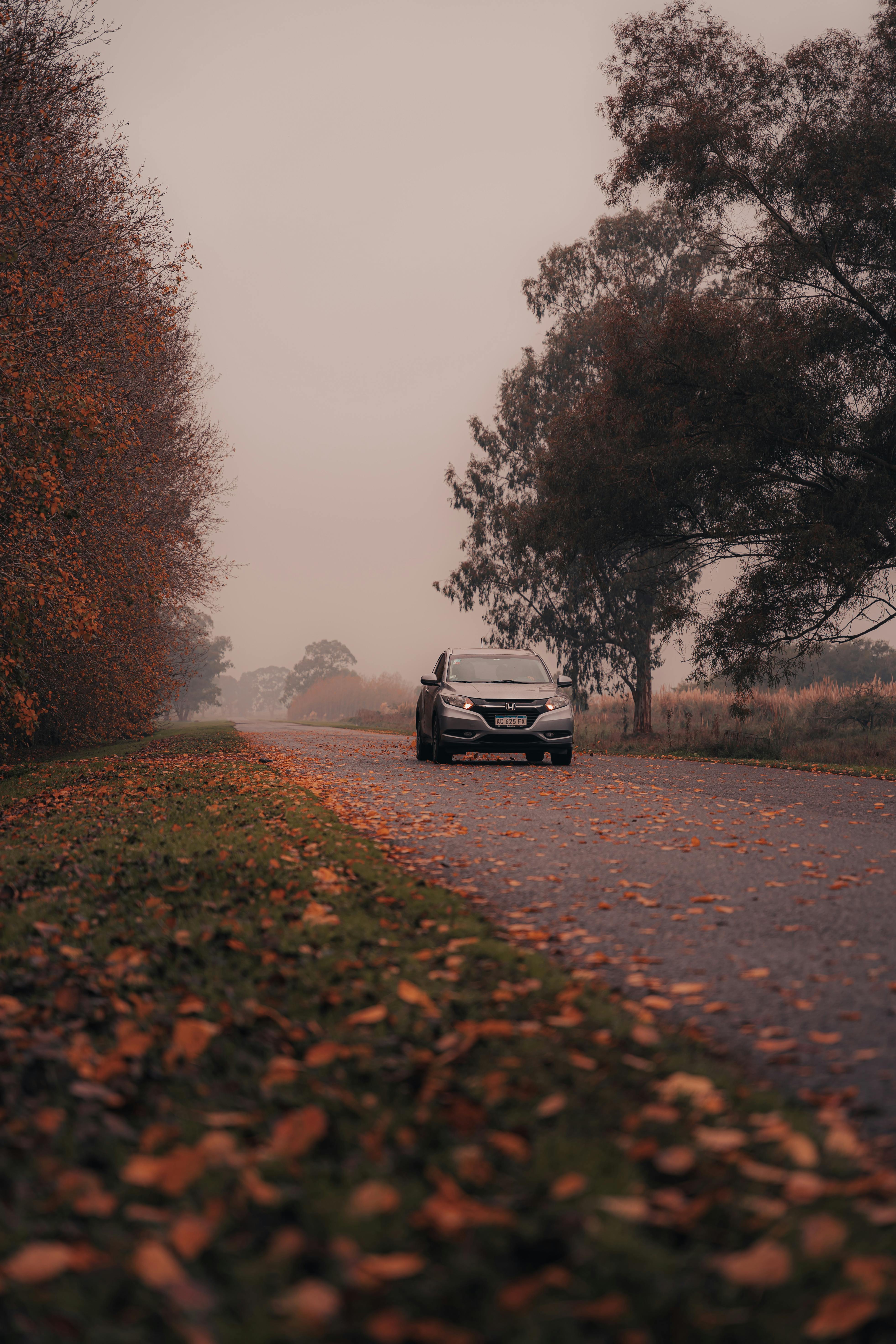 Autumn Road with Car Surrounded by Fallen Leaves · Free