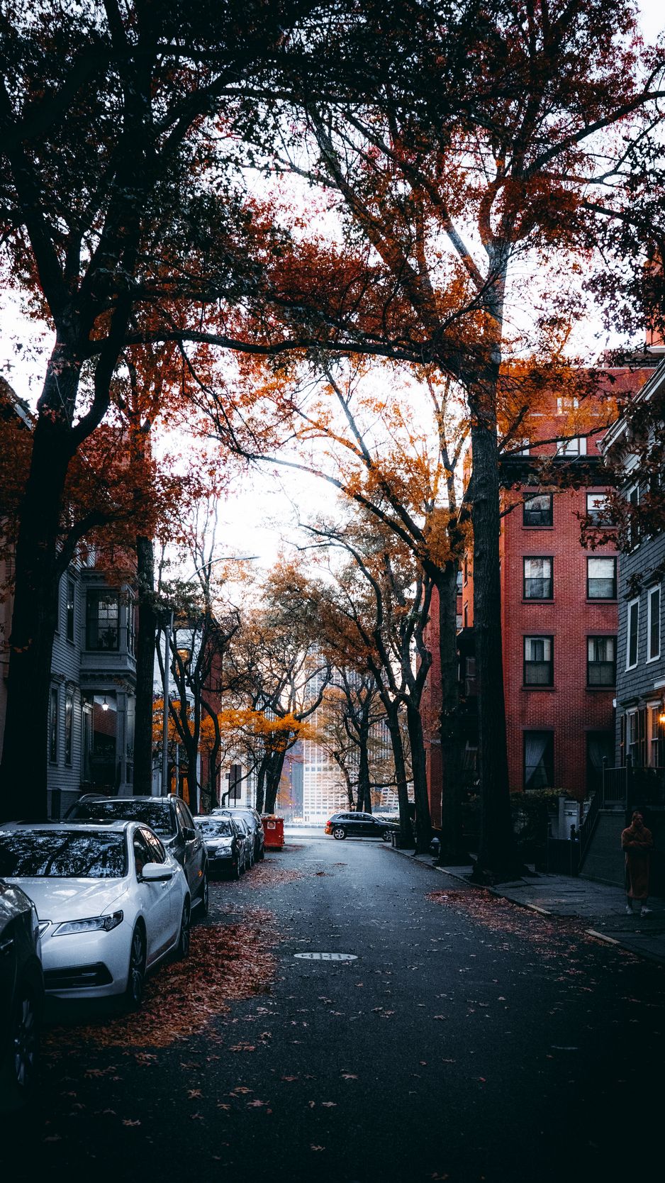 Download Wallpaper 938x1668 Street, City, Autumn, Cars, Trees Iphone 8 7 6s 6 For Parallax HD Background