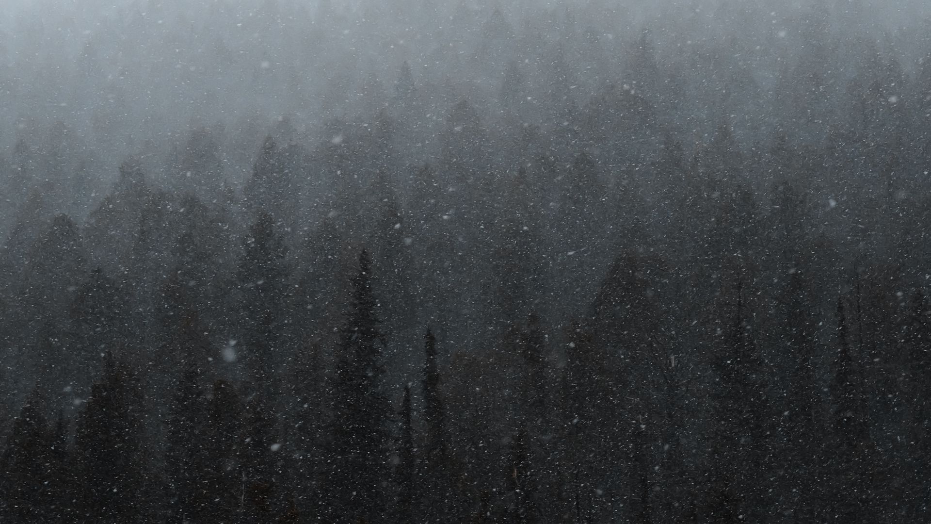 Download wallpaper 1920x1080 forest, mountain, snow, snowfall, winter full hd, hdtv, fhd, 1080p HD background