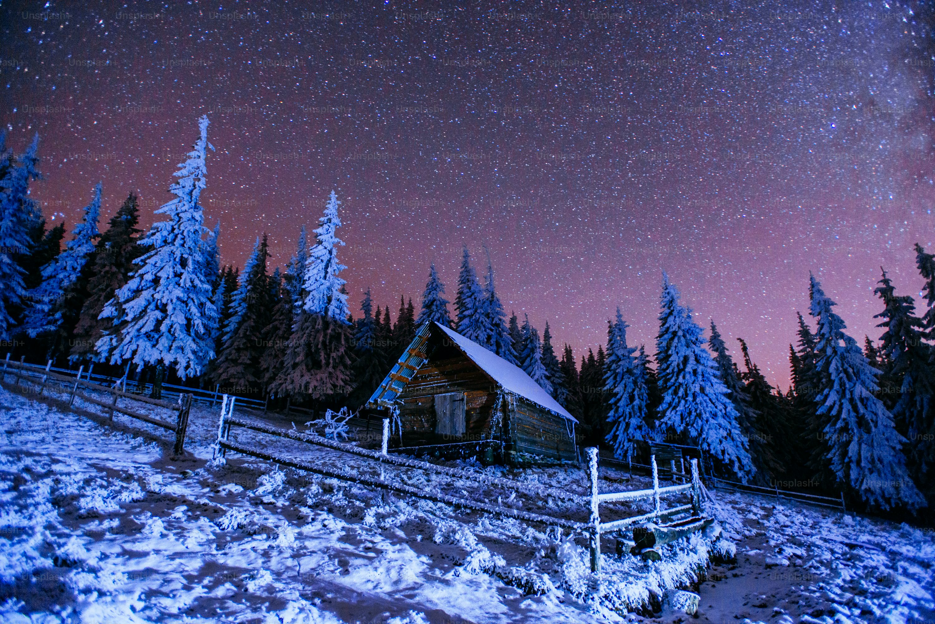 Winter Night Picture. Download Free Image