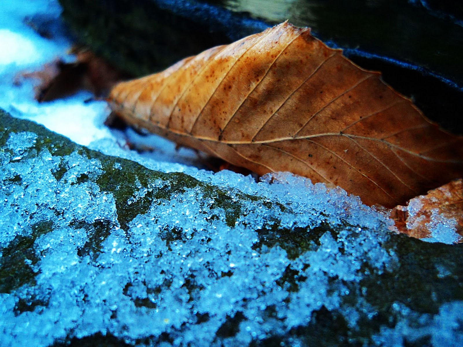 A Few Photo of Snow, Slush, and Rain