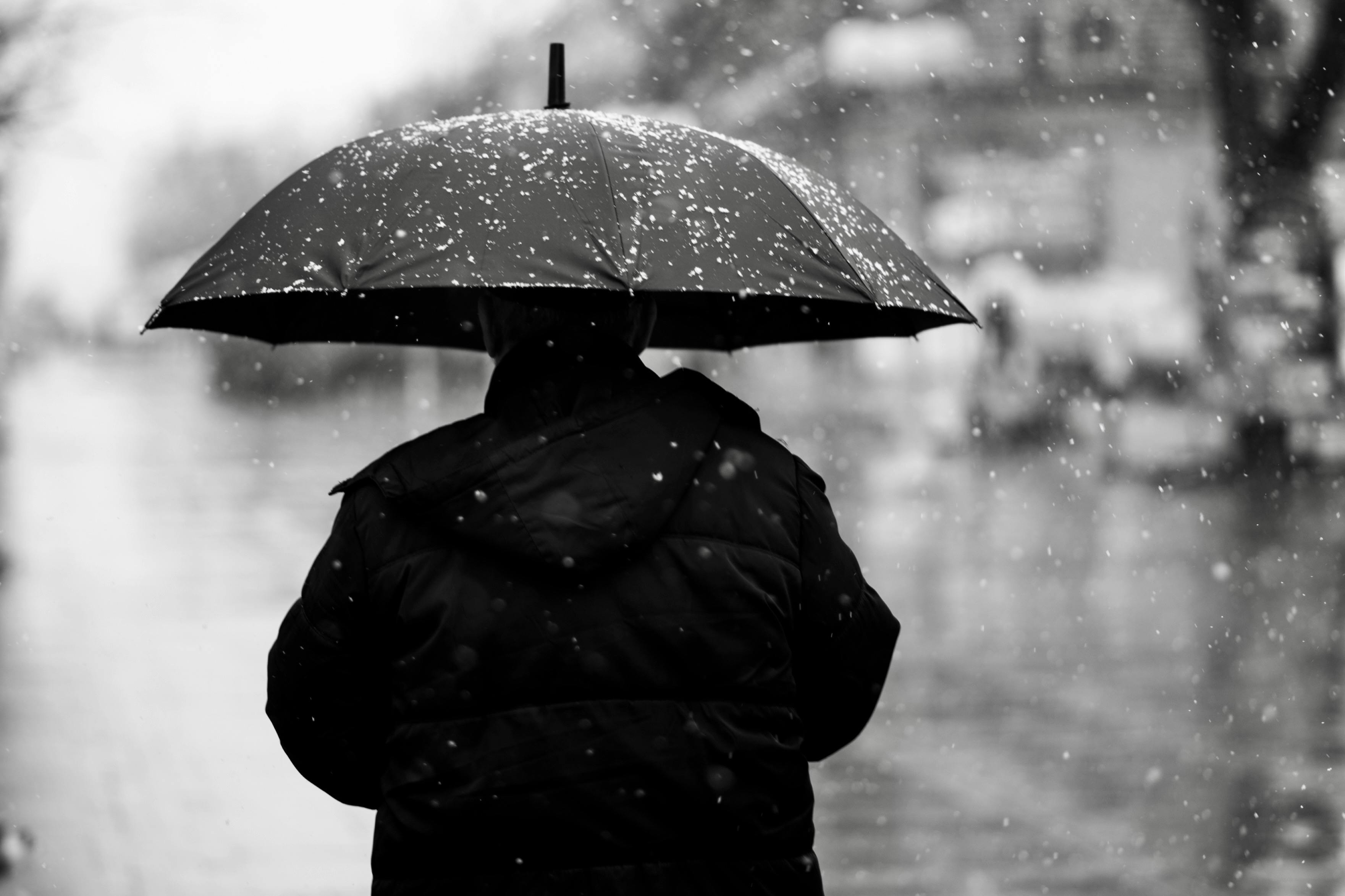 Person Walking with Umbrella in Snowfall · Free