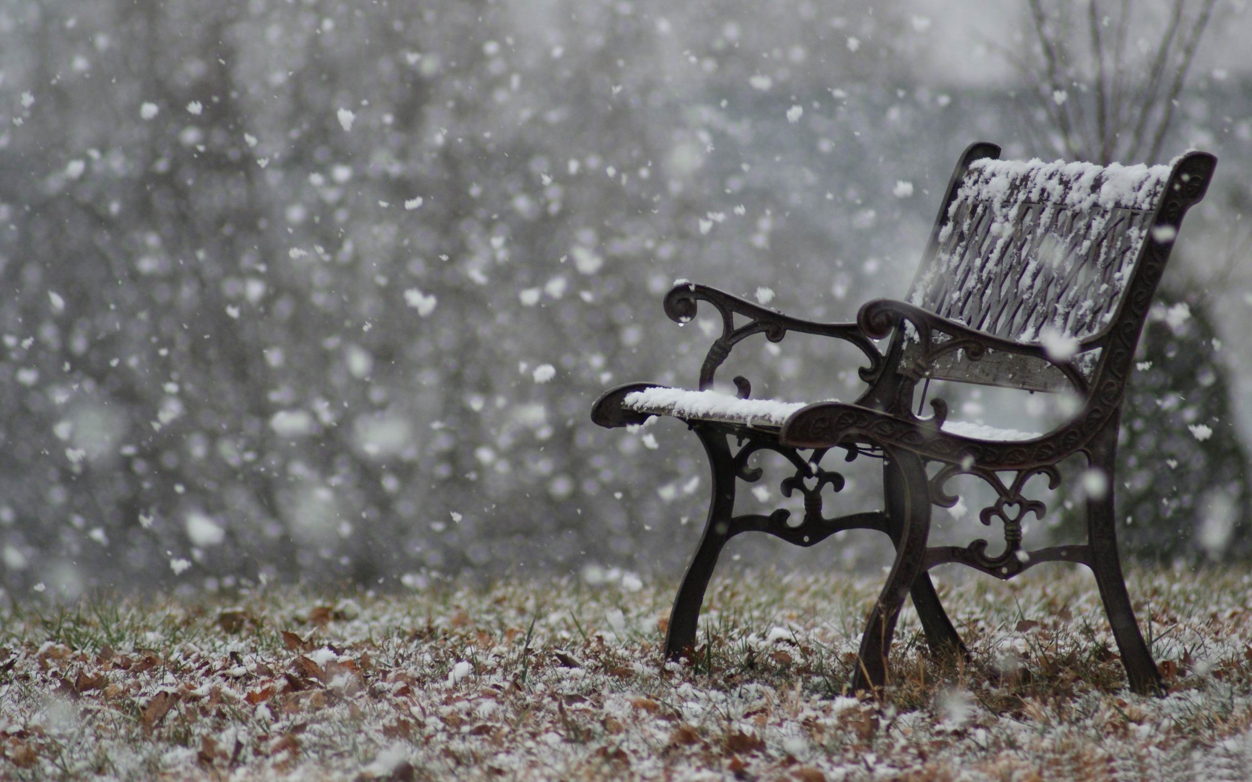 Snowy Bench Winter Snow Scenes Wallpaper