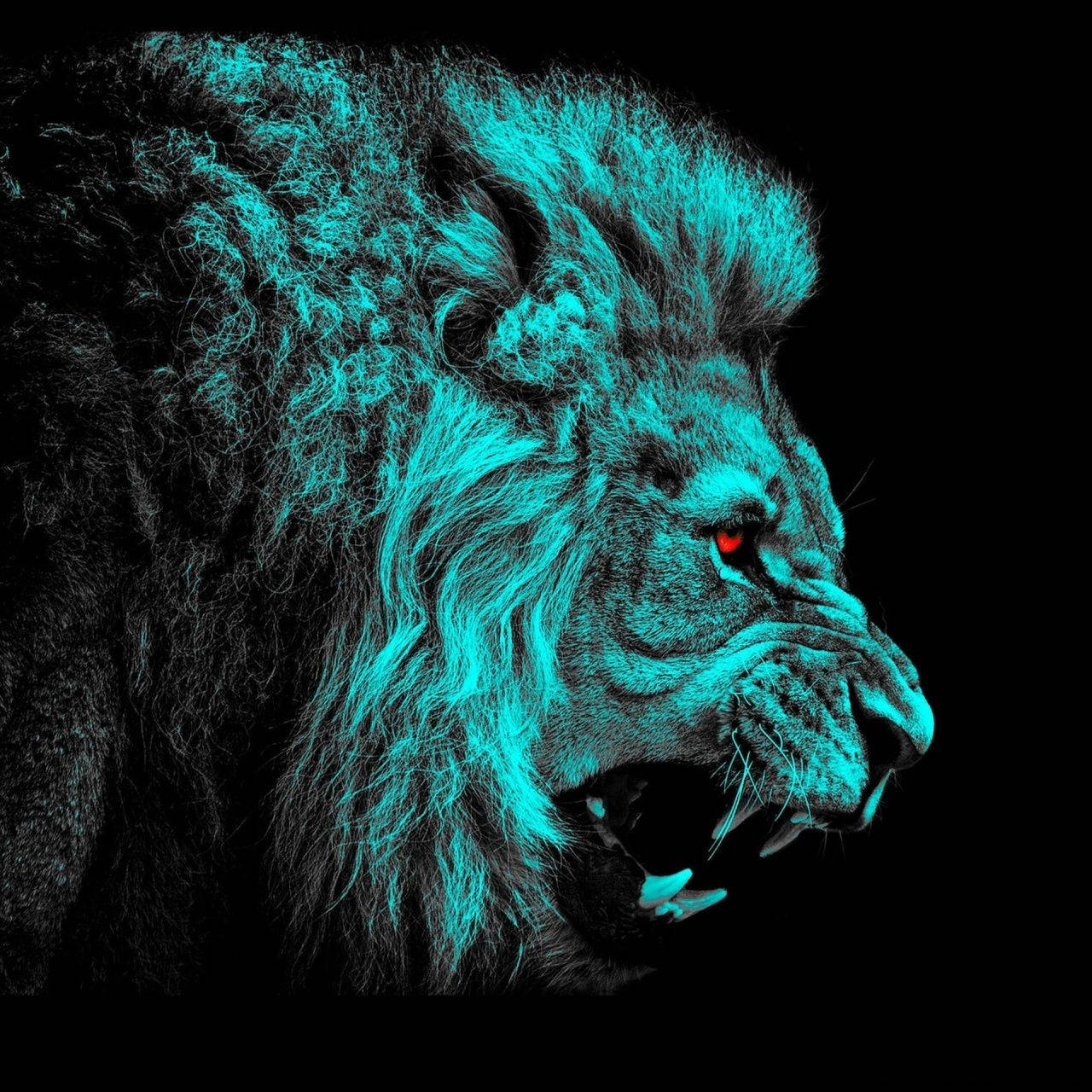 Download Fierce Blue Fire Lion Eyes in Night Wallpaper