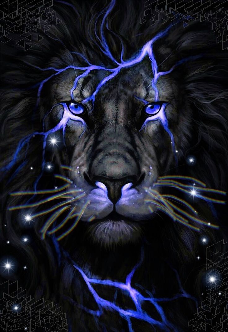 Trophy.pro Toptrendpin.club. Lion Picture, Lion Image, Big Cats Art
