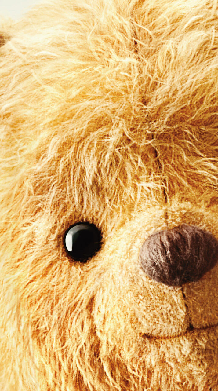 Wallpaper Winnie the Pooh Christopher Robin 2018 movies 720x1280 HD from godlike image and screensavers
