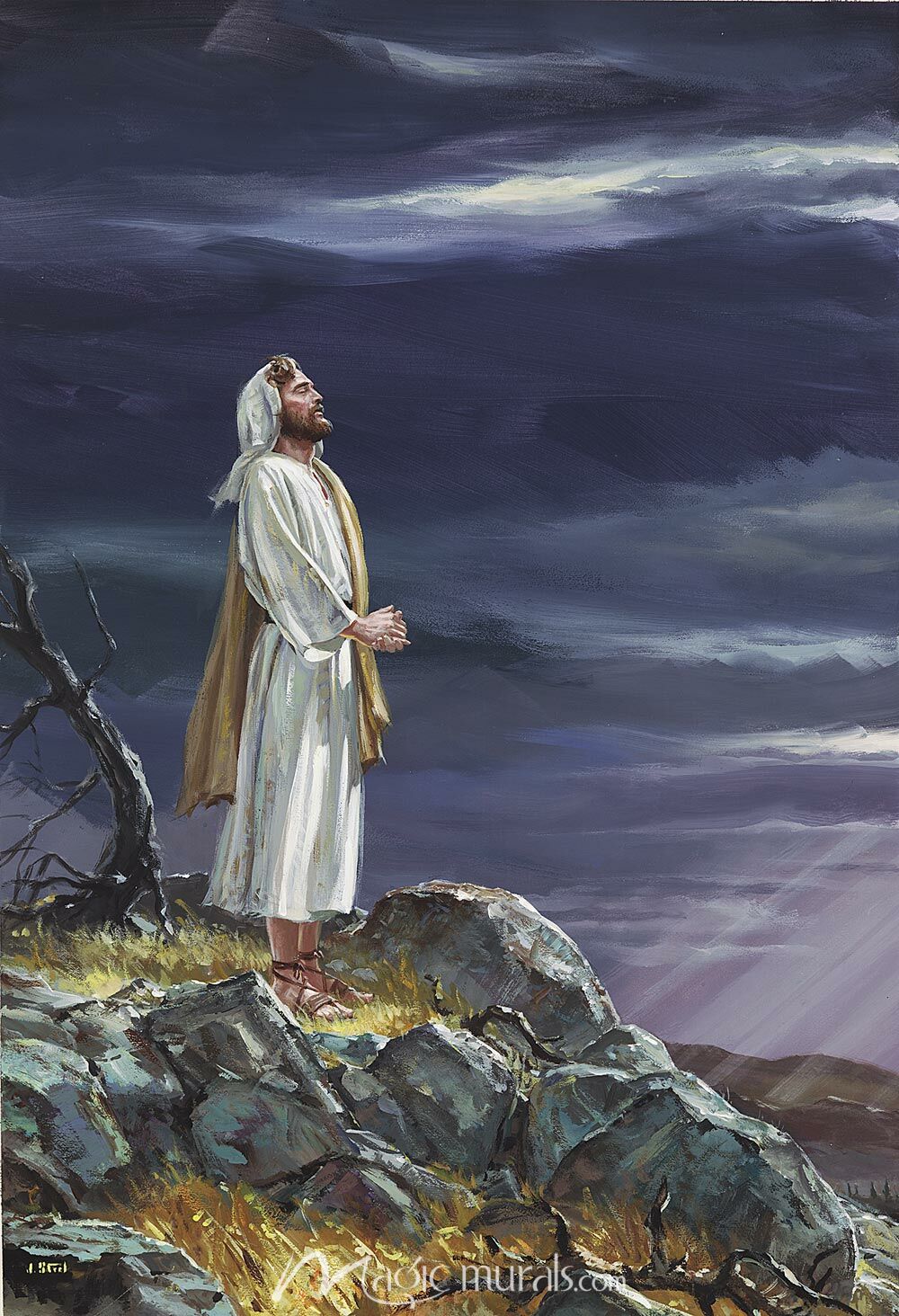 Temptation of Christ Wallpaper Mural