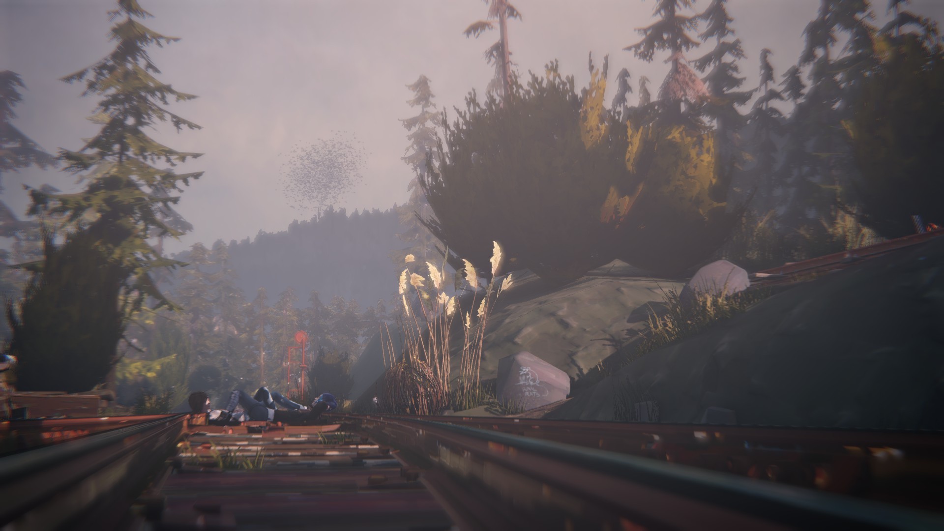 The game world is Life Is Strange Desktop wallpaper 1920x1080