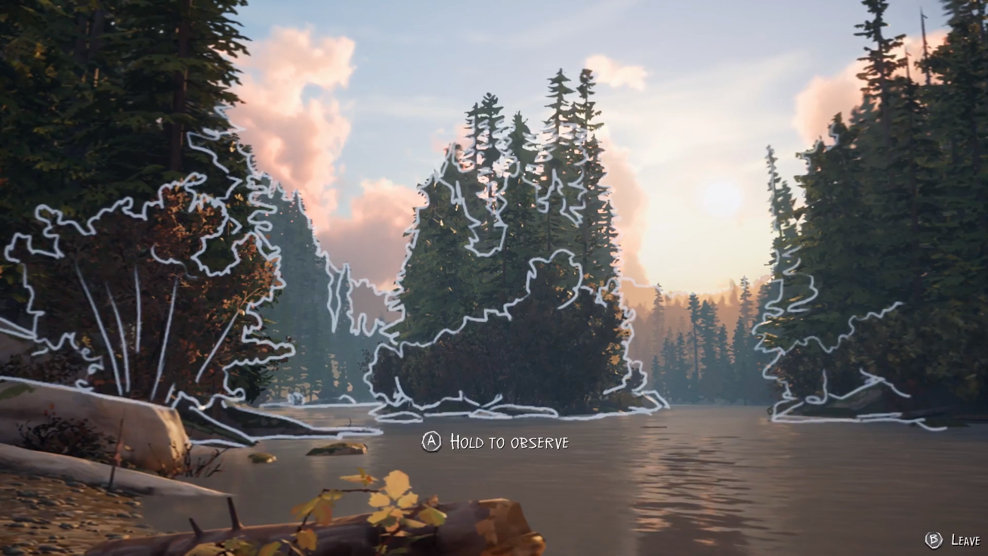 Optional Drawings. Life is Strange