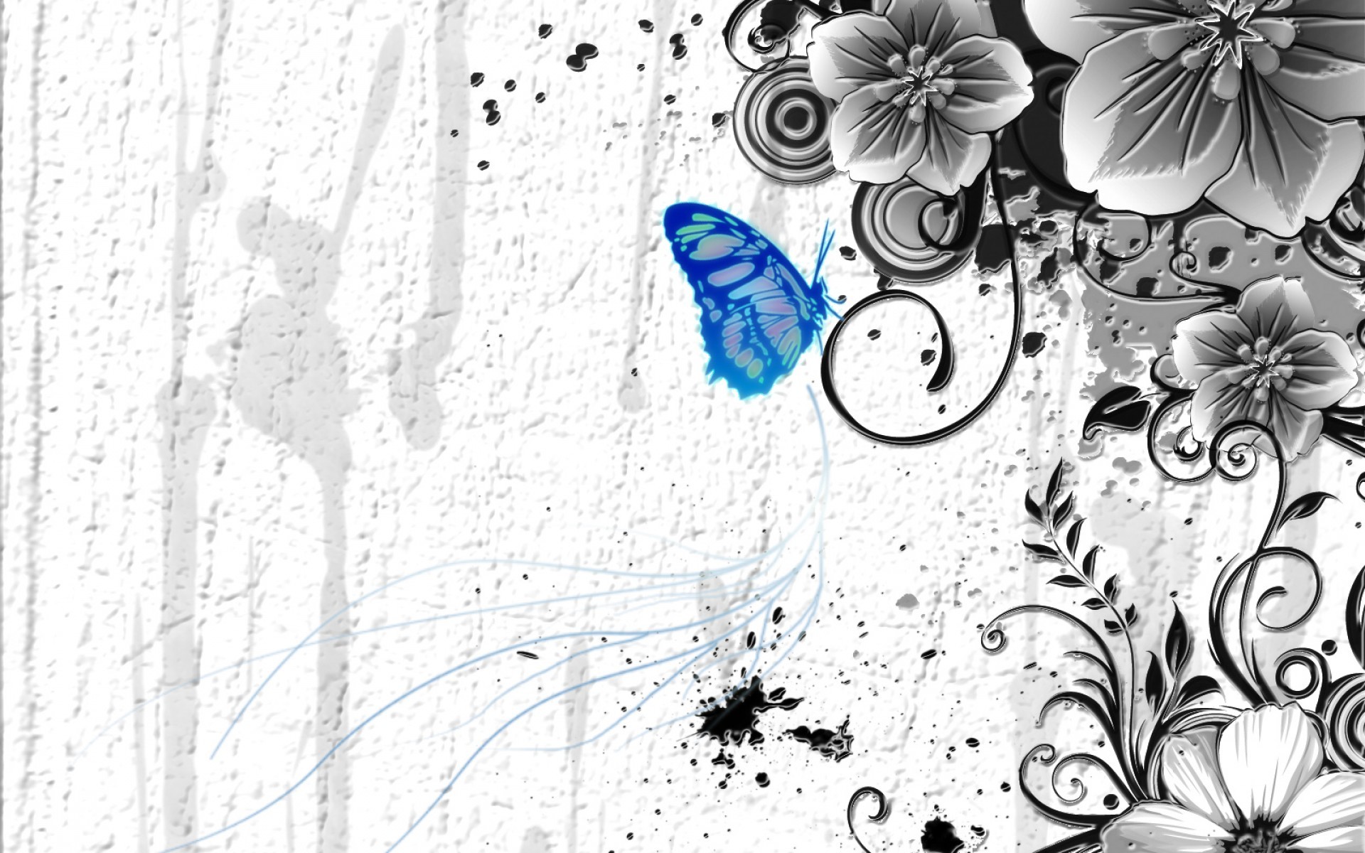 Light Blue Butterfly, Black and White Flower Wallpaper