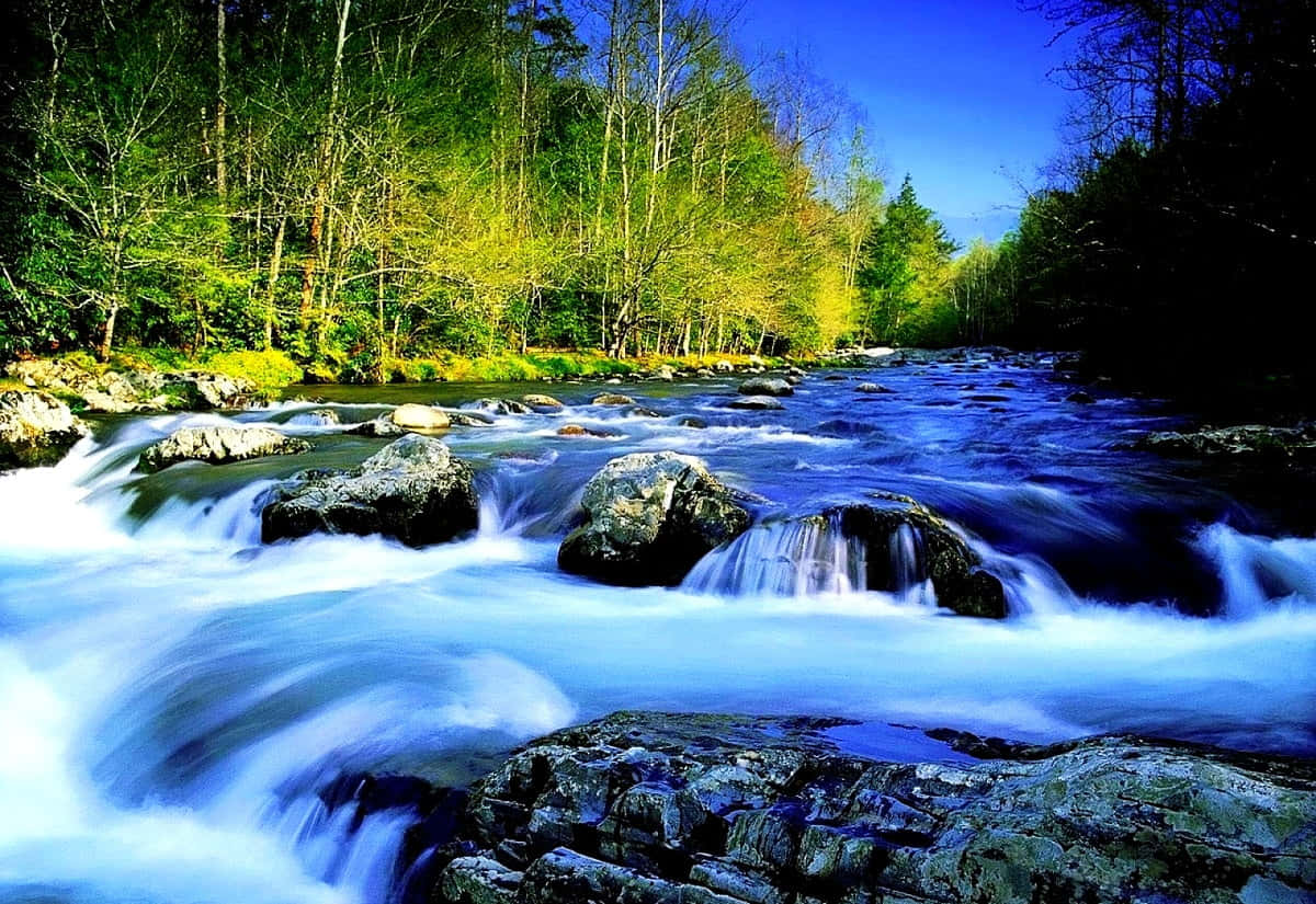 Download Blue River Picture of Serenity and Nature's Beauty Wallpaper