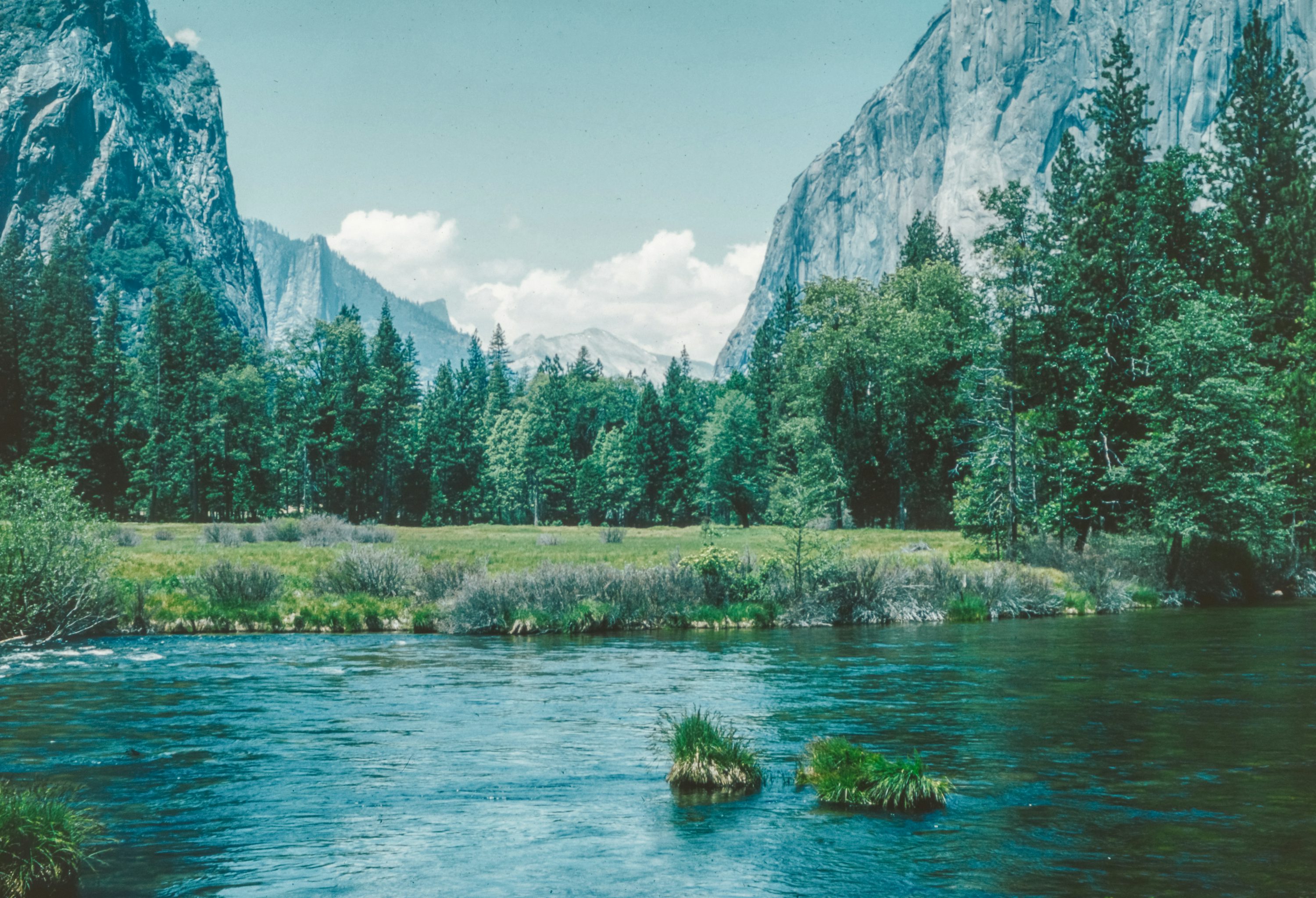 A river running through a lush green forest photo
