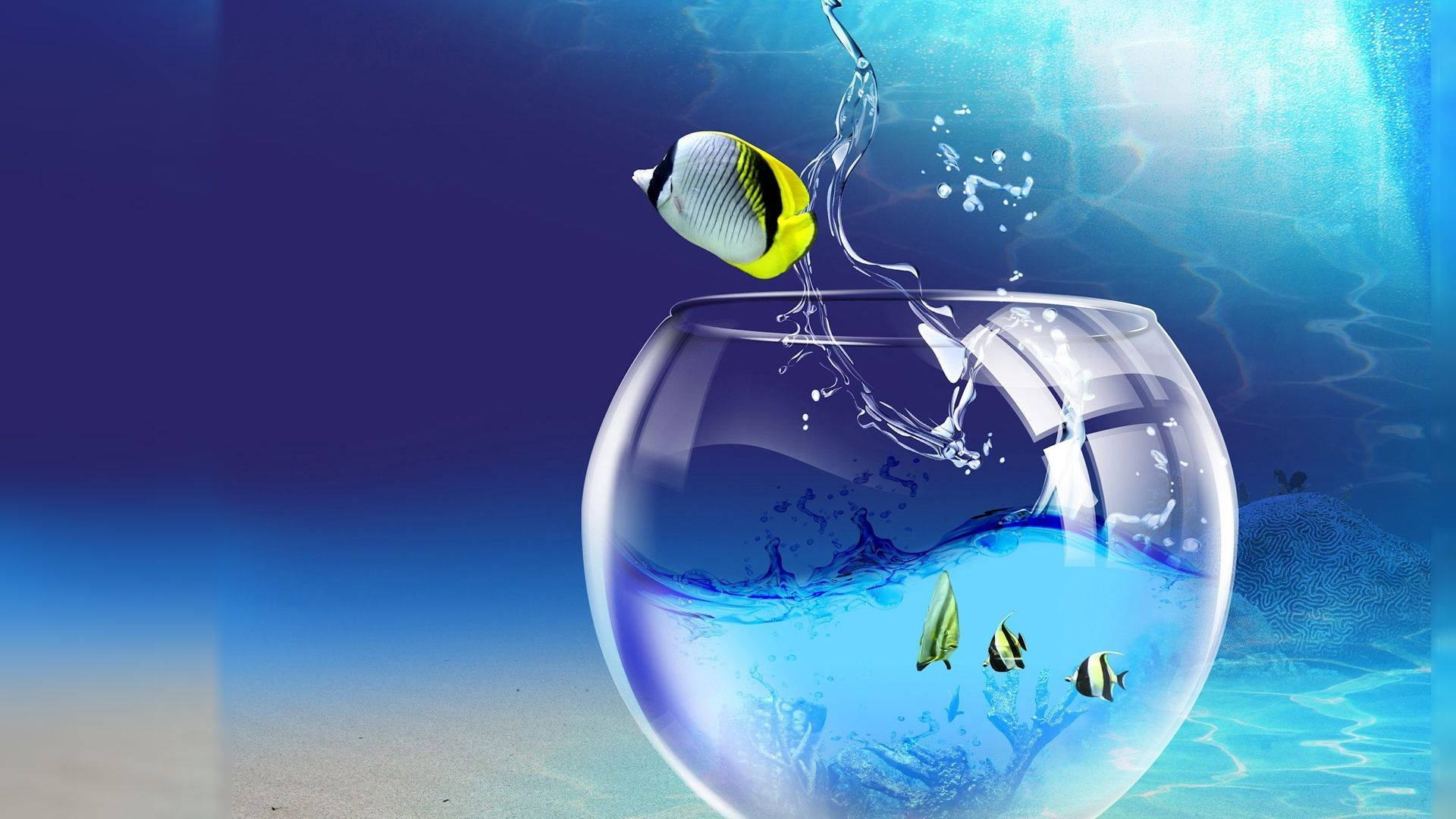 Download High Res Fishbowl Underwater Wallpaper