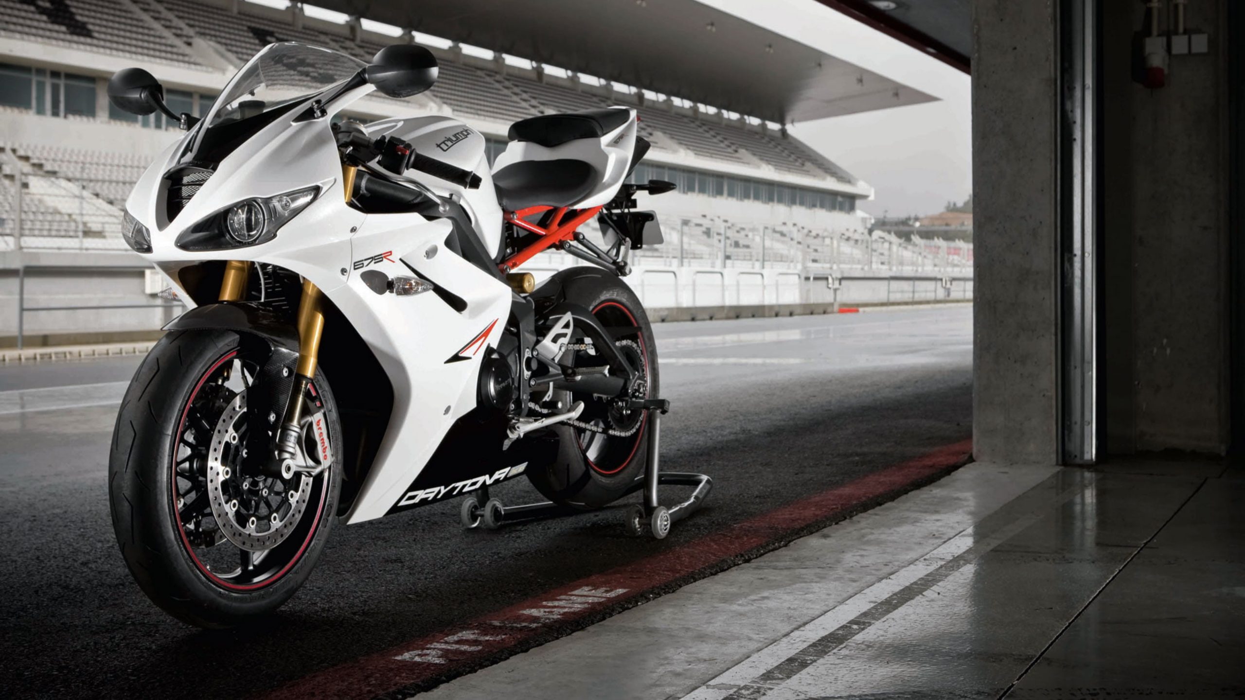 Triumph Motorcycle [4K] Wallpaper