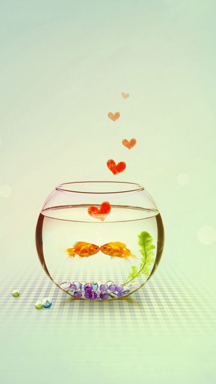 Kissing Love Fish Couple In Aquarium iPhone 8 Wallpaper