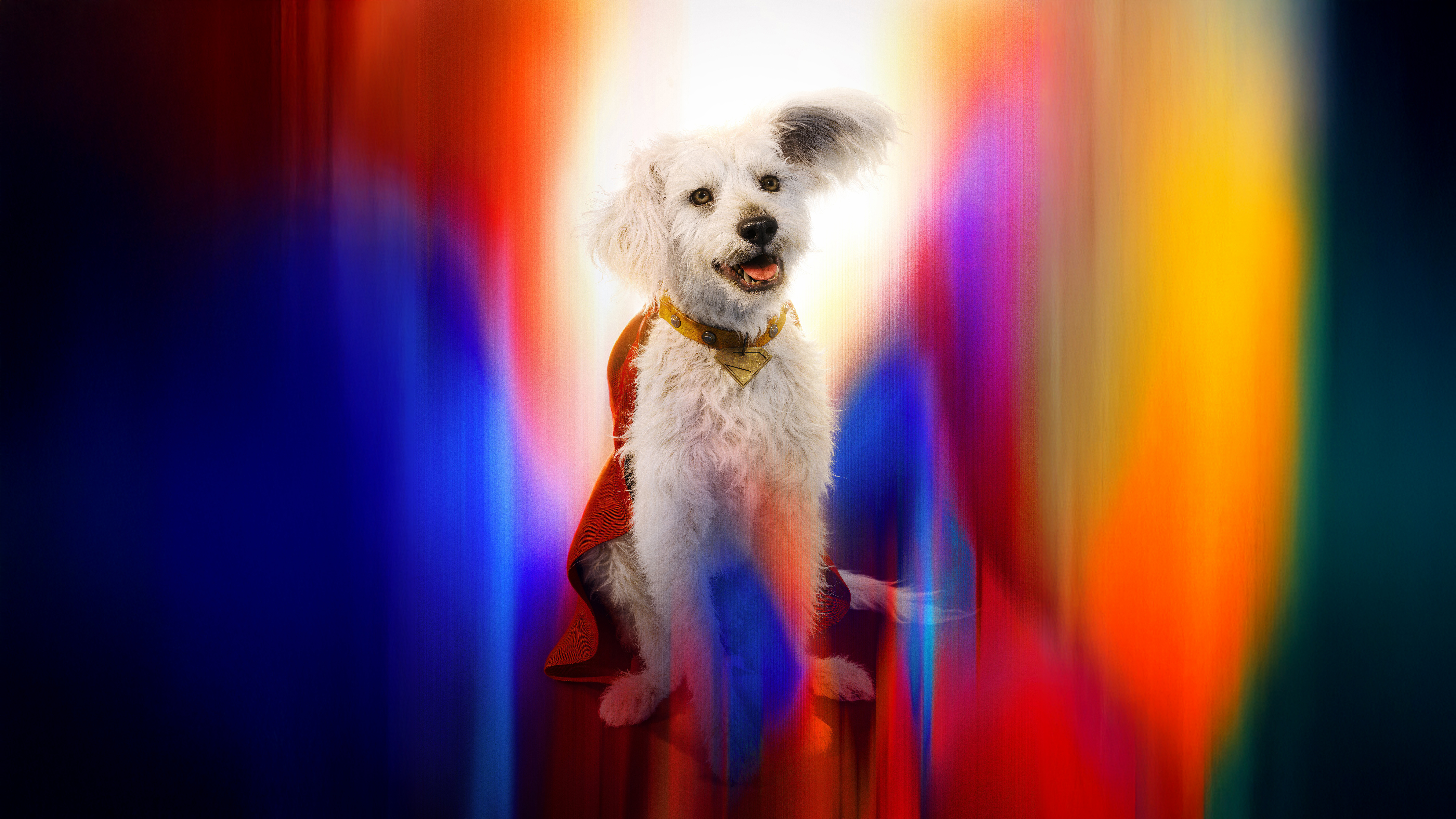 Krypto Wallpaper 4K, Superdog, Superman, 2025 Movies