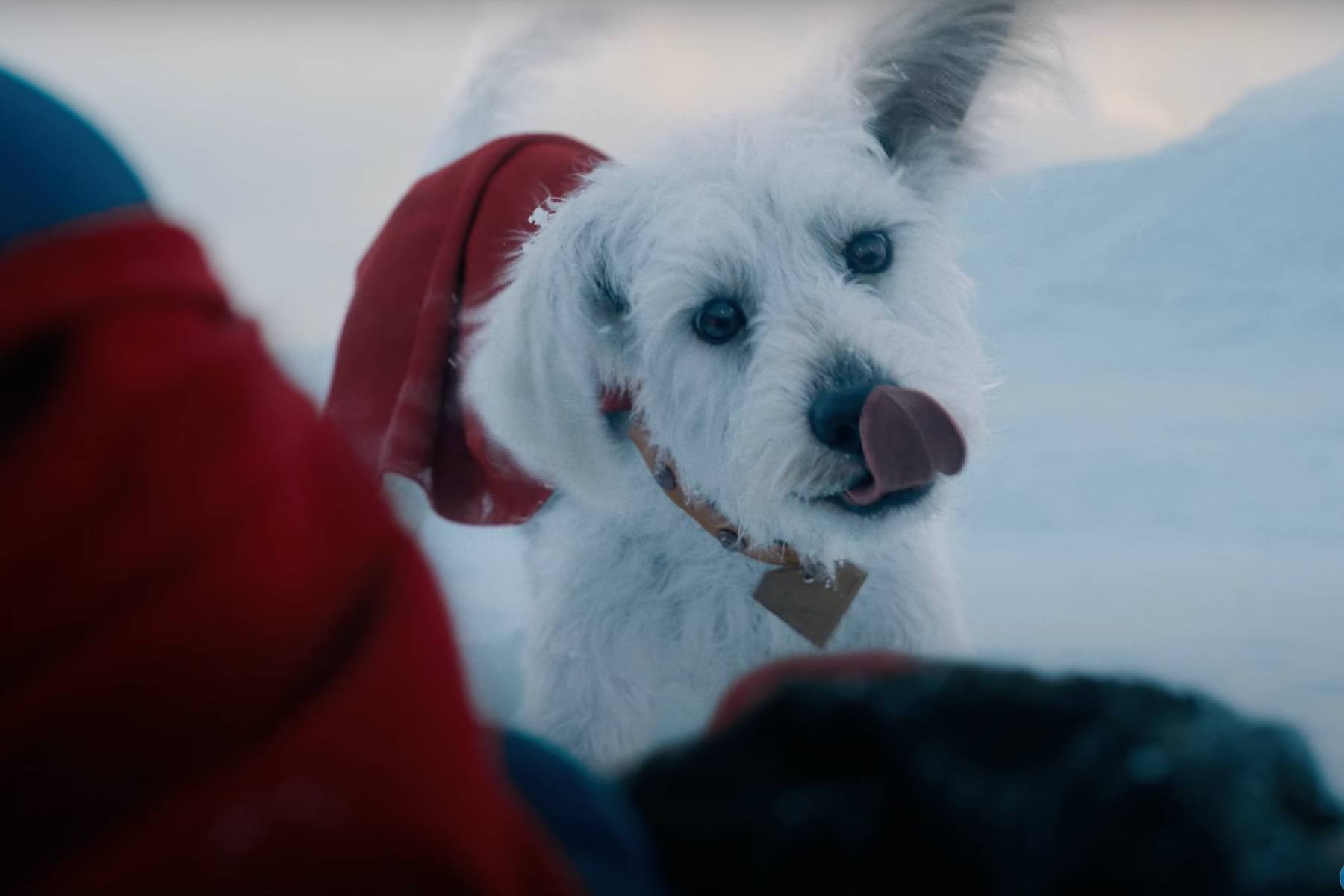 Superman Rescued by Dog Krypto in New James Gunn Trailer: Watch