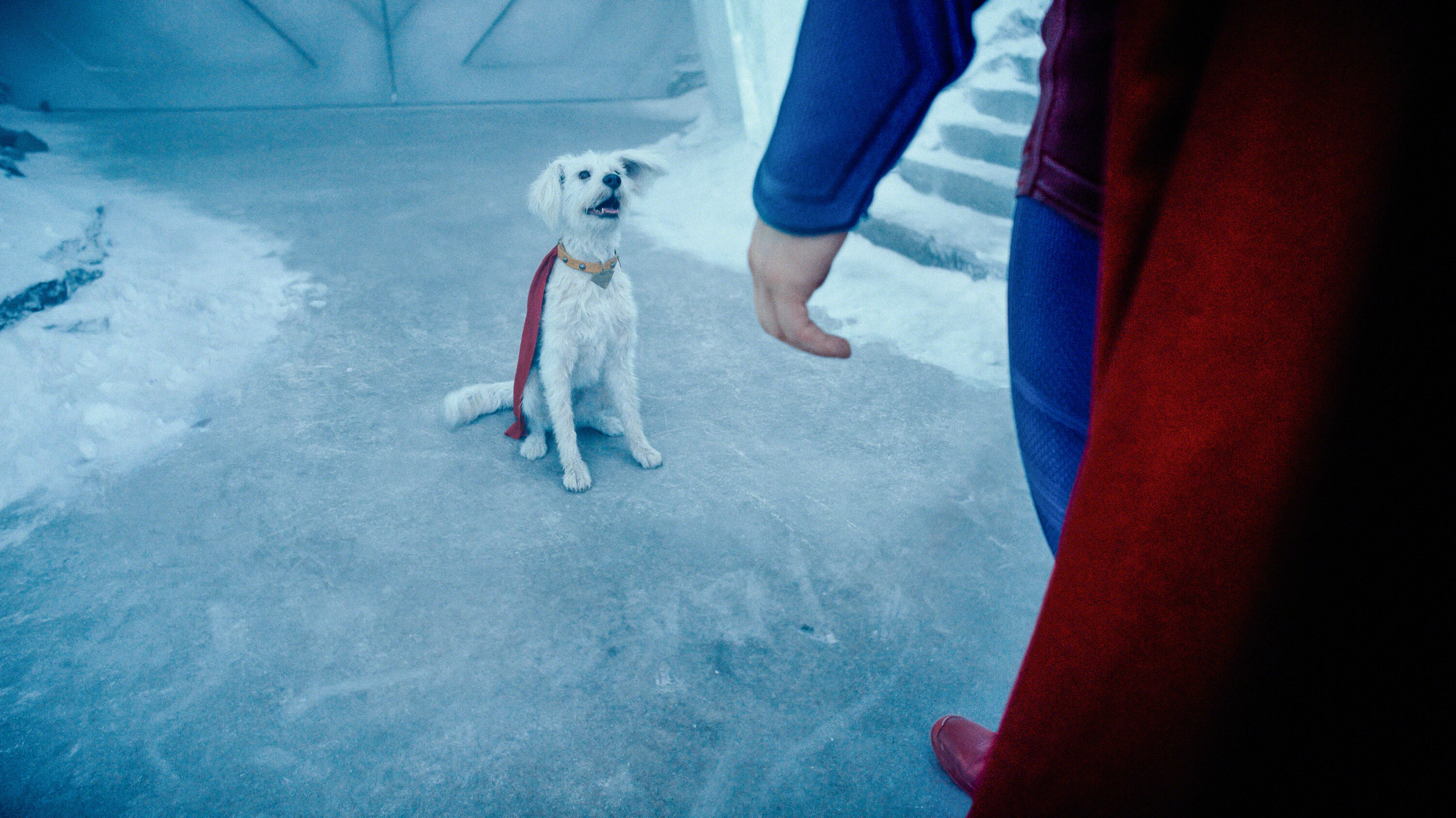 How James Gunn Modeled Superman's Dog Krypto After His Own Pet
