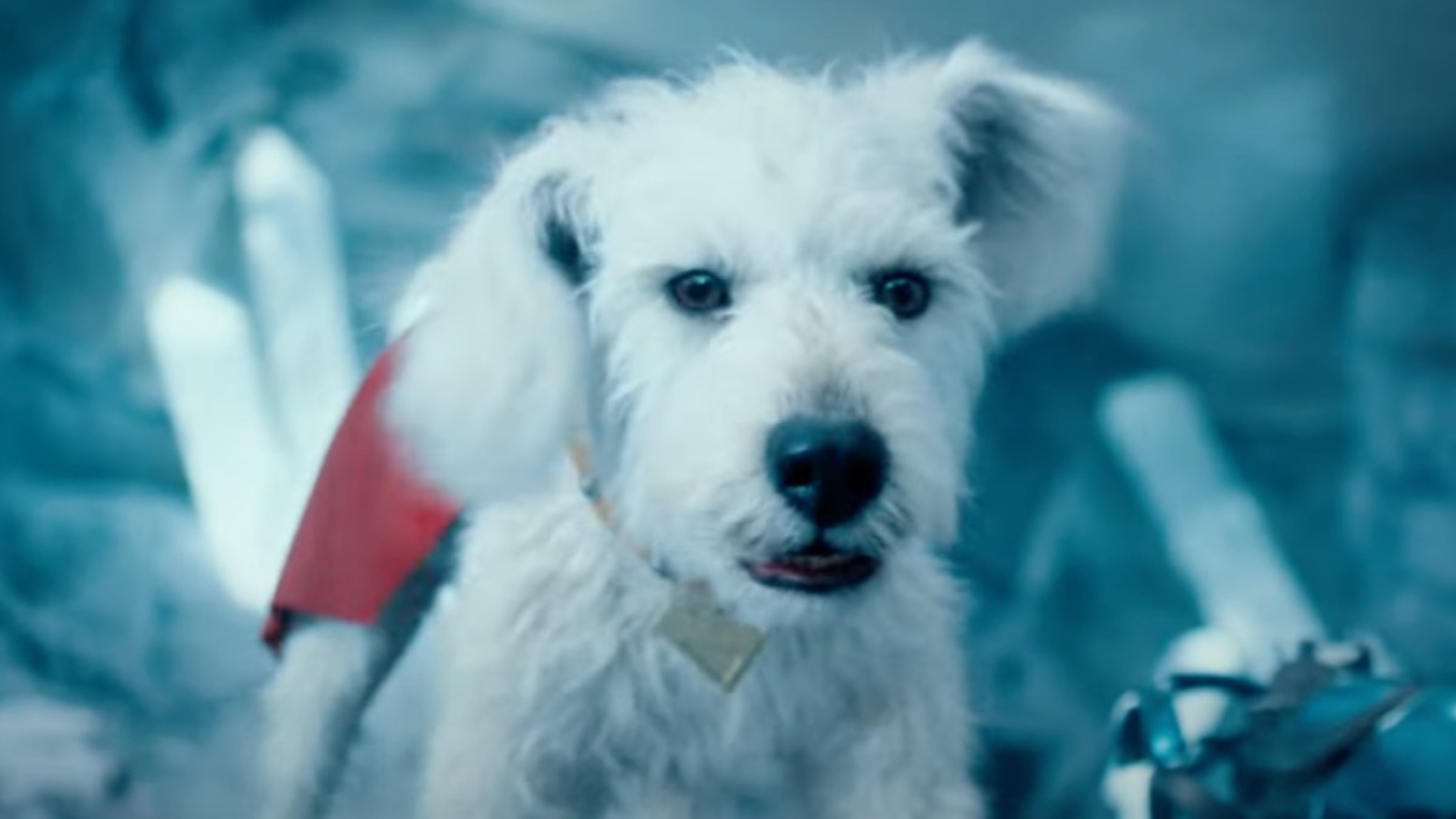 Superman Cut a Controversial Krypto Scene That Upset Test Audiences