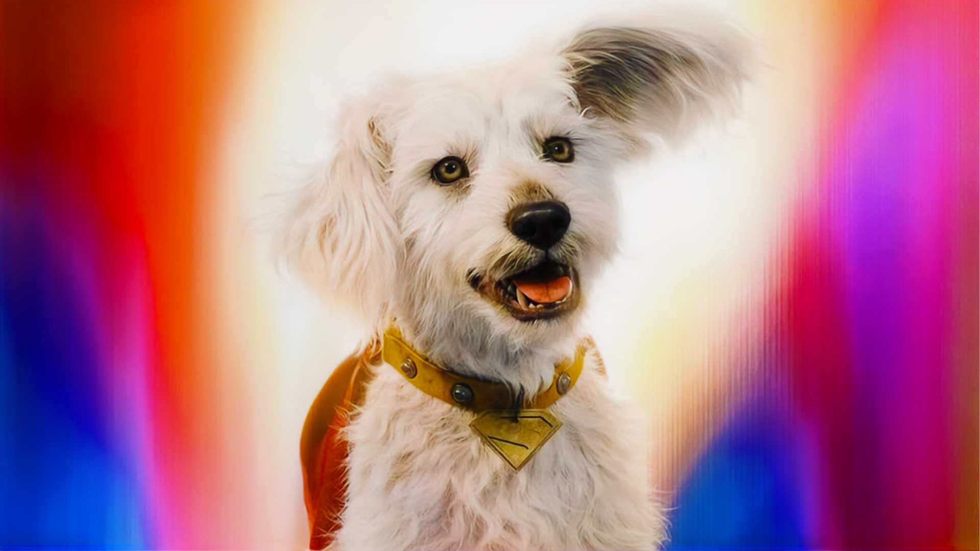 James Gunn Just Confirmed A Surprise Superman Spin Off