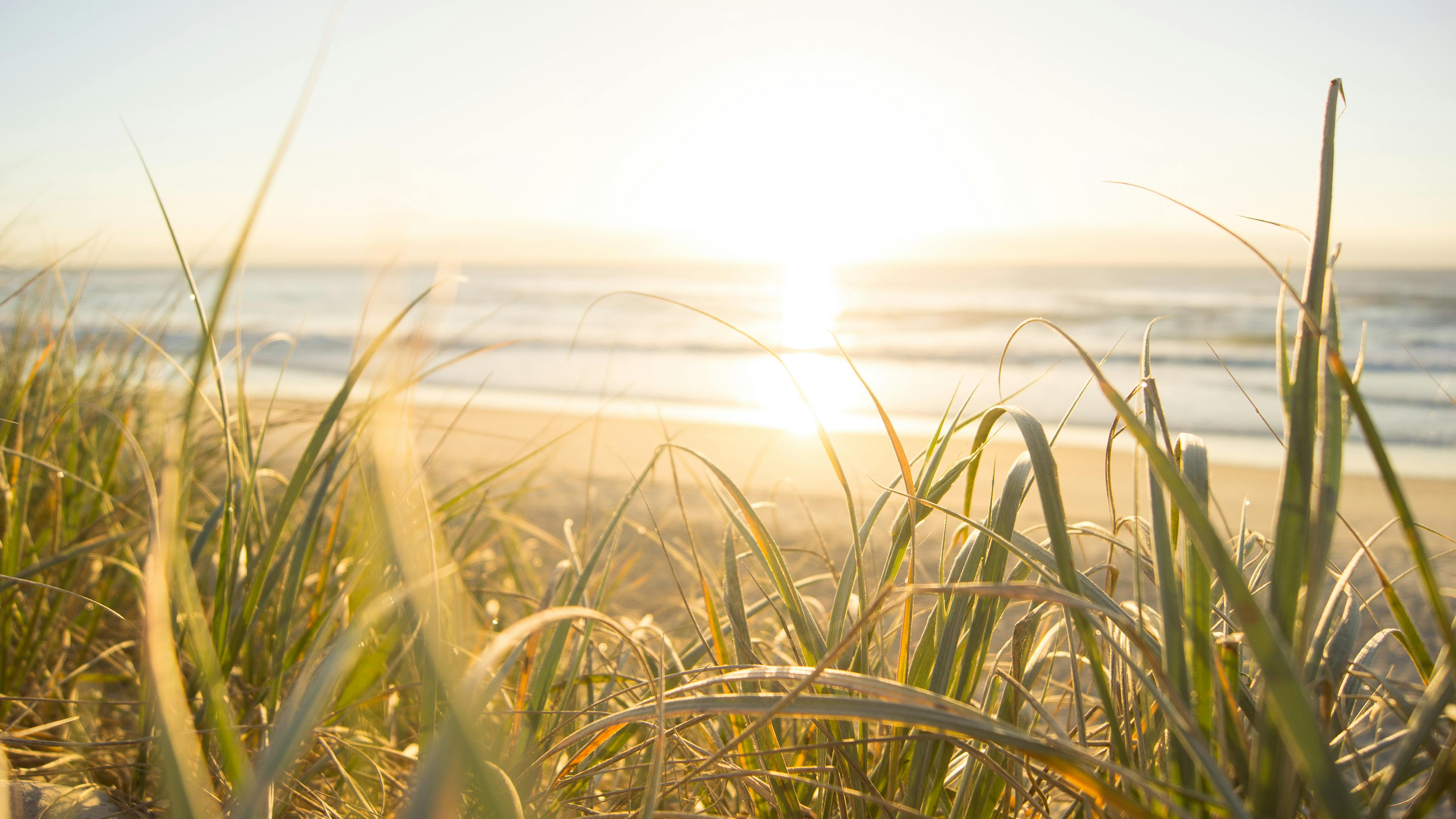 100,Best Summer Picture · 100% Free Downloads