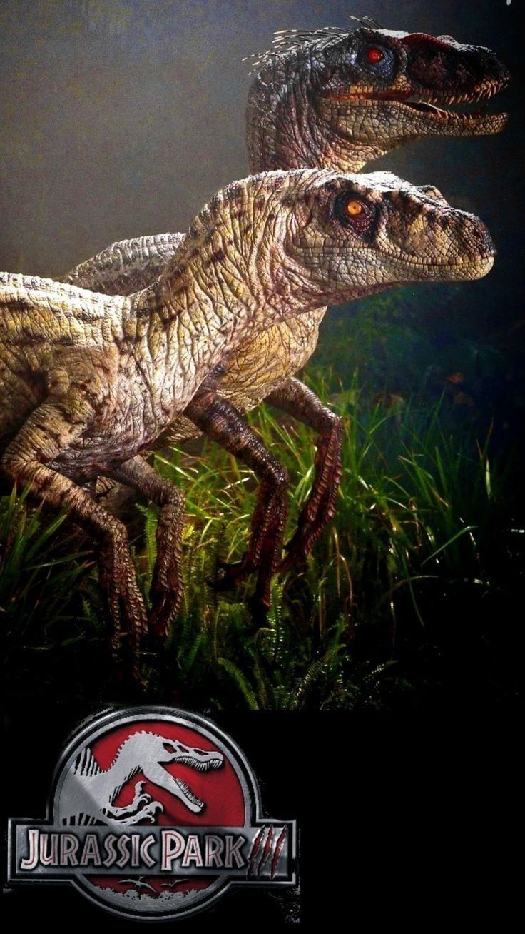 Jurassic Park III. Jurassic park, Velociraptor jurassic park, Jurassic park world